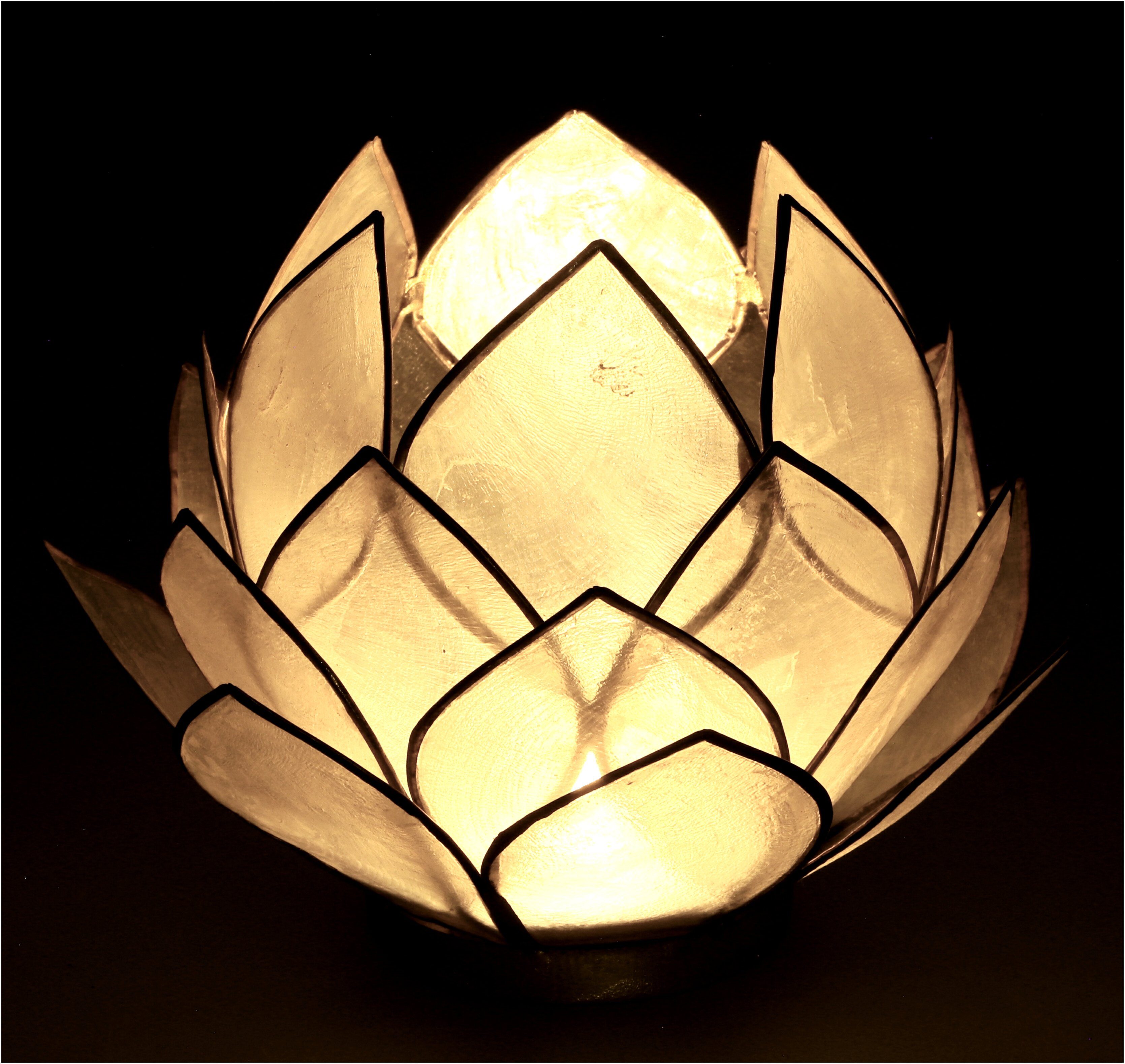 Guru-Shop Windlicht Lotus Teelicht Muschel 14*10 günstig online kaufen