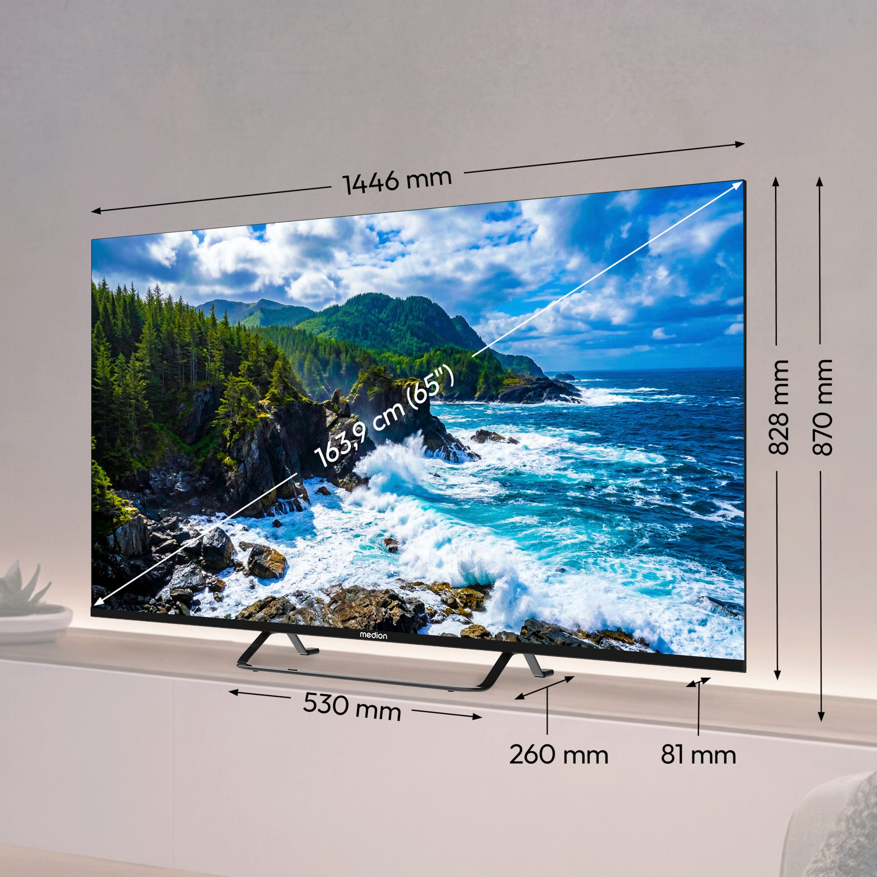 Medion® MD865701 LCD-LED Fernseher (163.9 cm/65 Zoll, 4K Ultra HD, 60Hz, X8652603)
