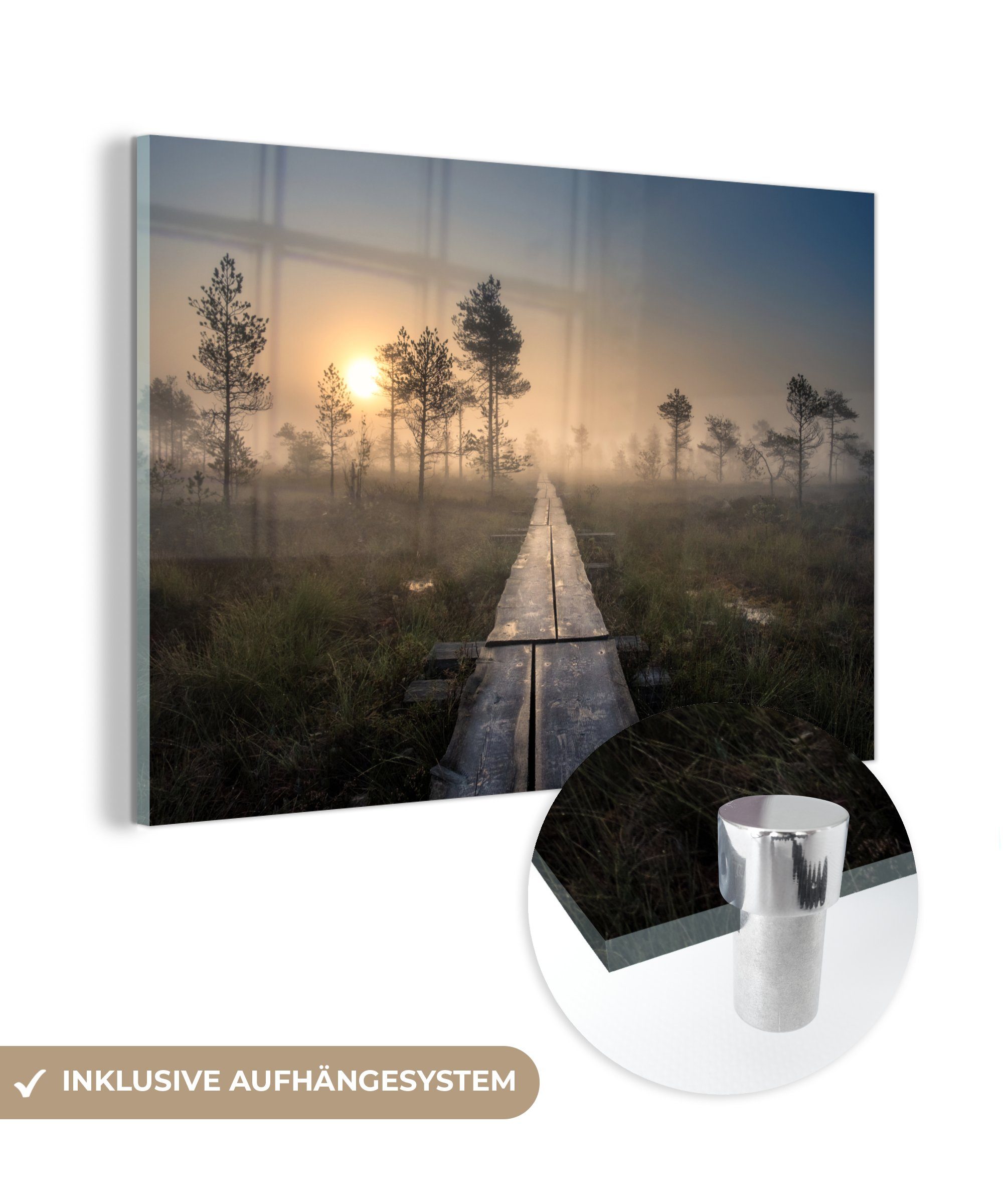 Acrylglasbilder Acrylglasbild St), - Wald & - (1 Sumpf Schlafzimmer Wohnzimmer MuchoWow Baum,