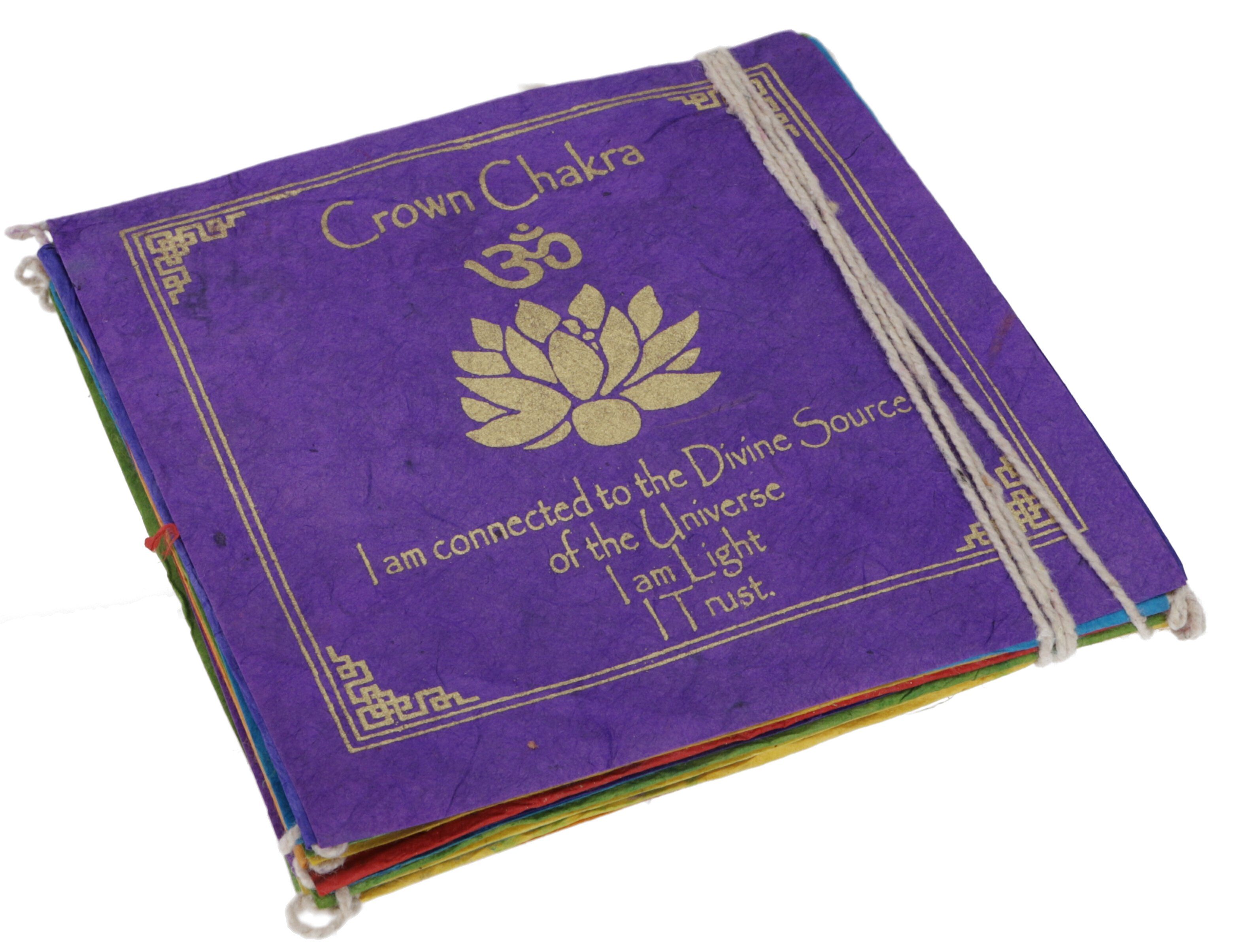 Guru-Shop Wimpelkette Gebetsfahne aus Papier 2,50 m, Buddhistische..