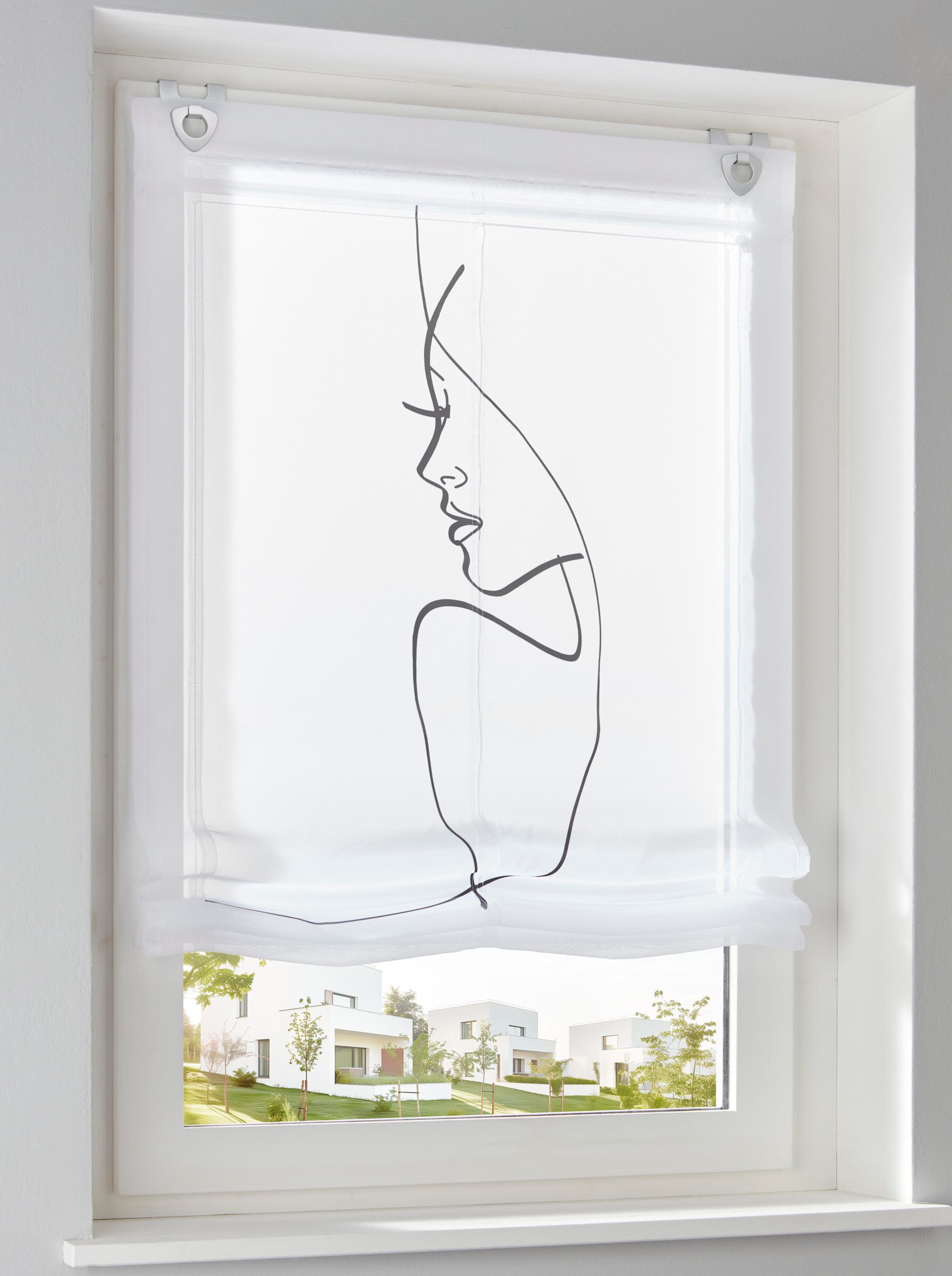 Rollo Raffrollo, heine, transparent, Ösen mit Fensterhaken günstig online kaufen