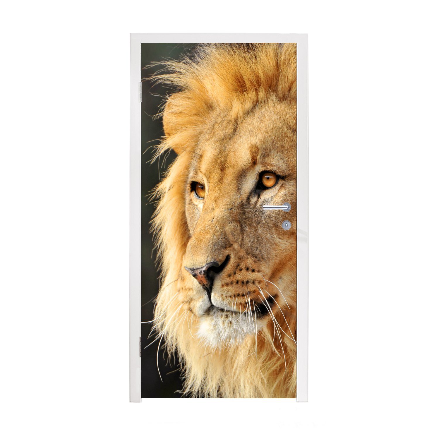 MuchoWow Türtapete Leo - Profil - Jagen, Matt, bedruckt, (1 St), Fototapete für Tür, Türaufkleber, 75x205 cm