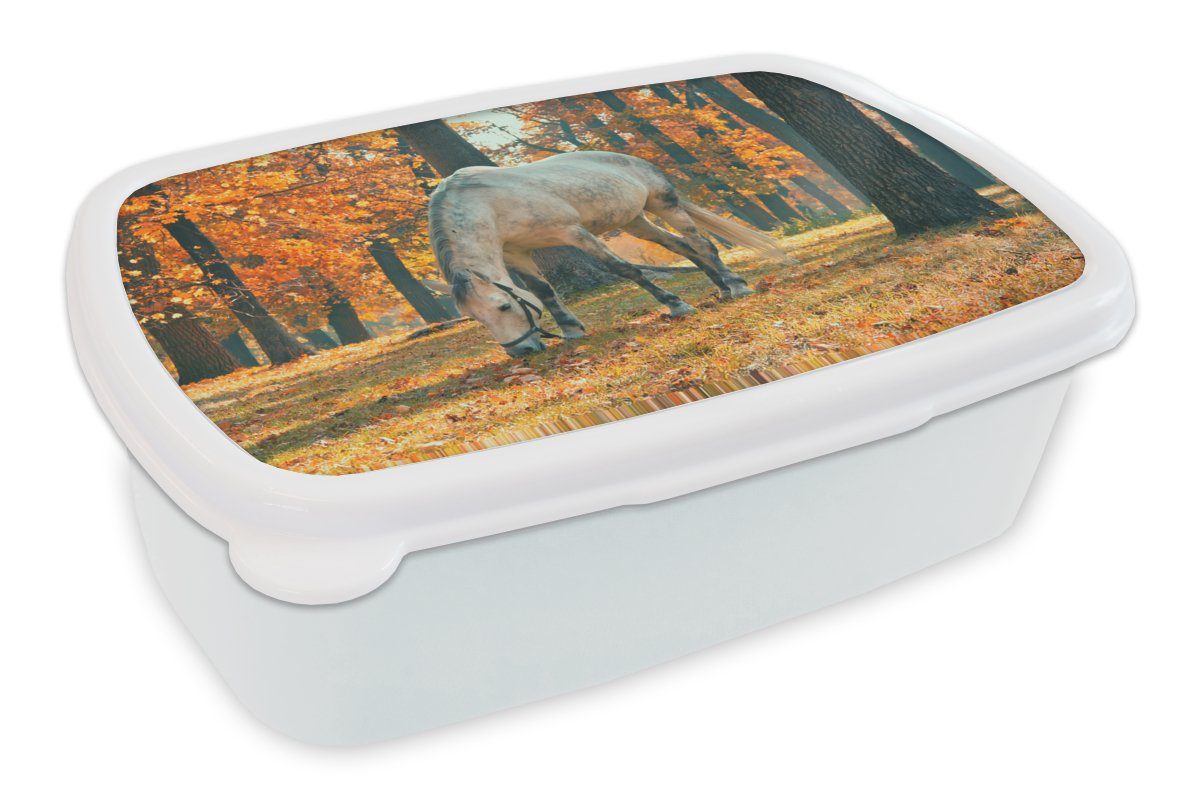 MuchoWow Lunchbox Pferd - Herbst - Wald, Kunststoff, (2-tlg), Brotbox für Kinder und Erwachsene, Brotdose, für Jungs und Mädchen weiß