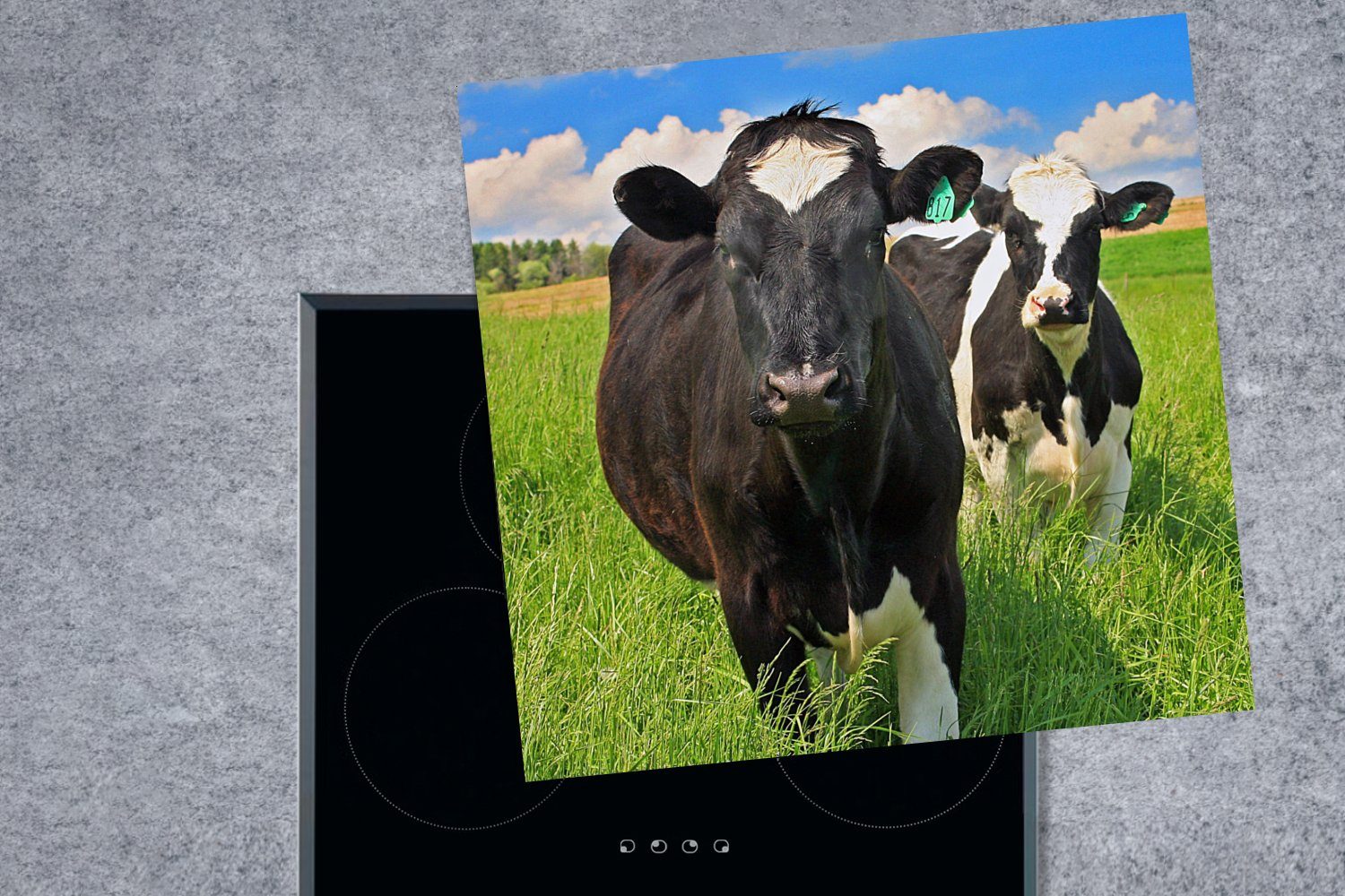 - MuchoWow Arbeitsplatte Ceranfeldabdeckung, - Gras (1 Kuh Vinyl, - küche tlg), Herdblende-/Abdeckplatte cm, 78x78 Natur Tiere, für