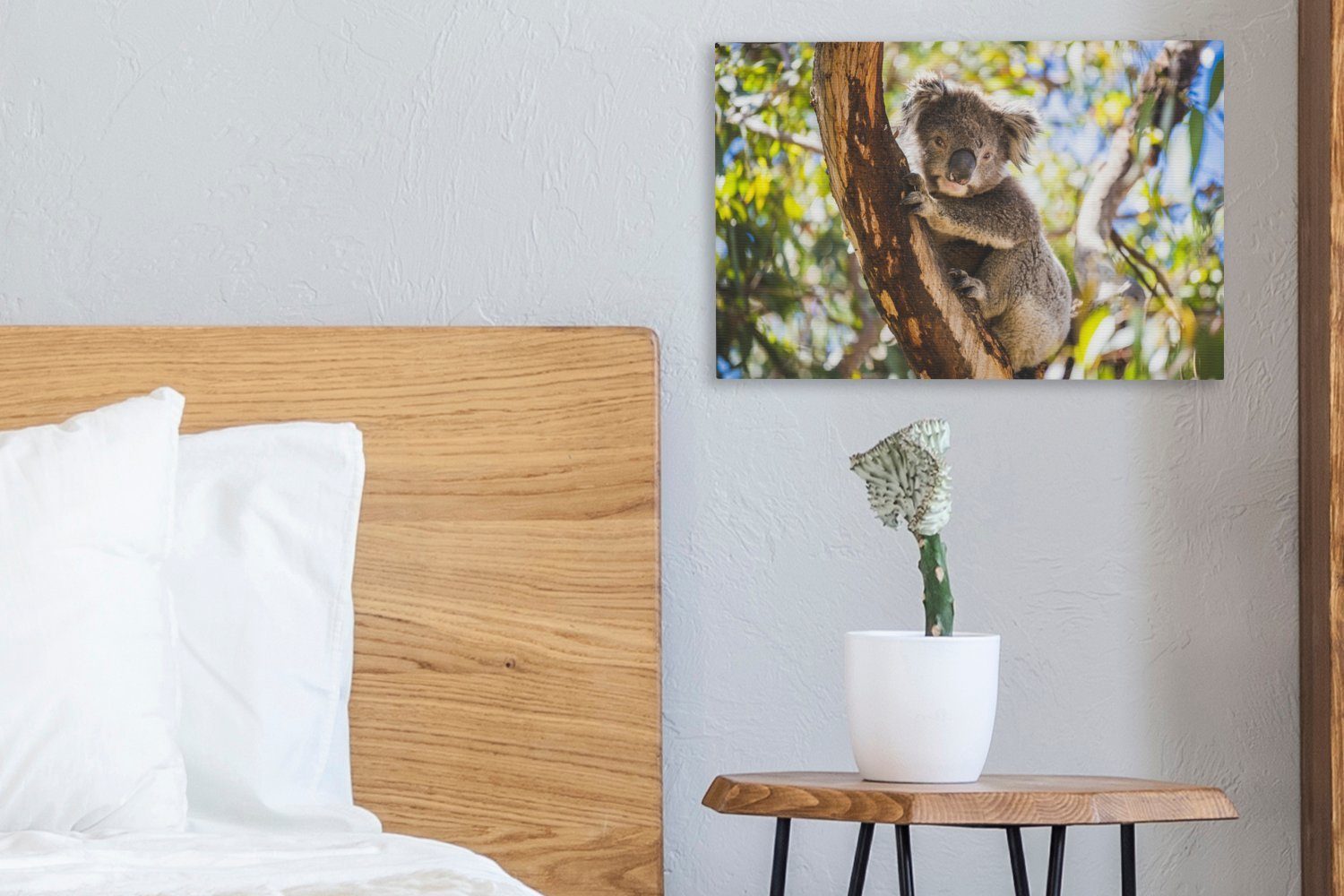 OneMillionCanvasses® Leinwandbild (1 Aufhängefertig, St), Wandbild Baum, Wanddeko, cm Leinwandbilder, 30x20 - - Koala Eukalyptus