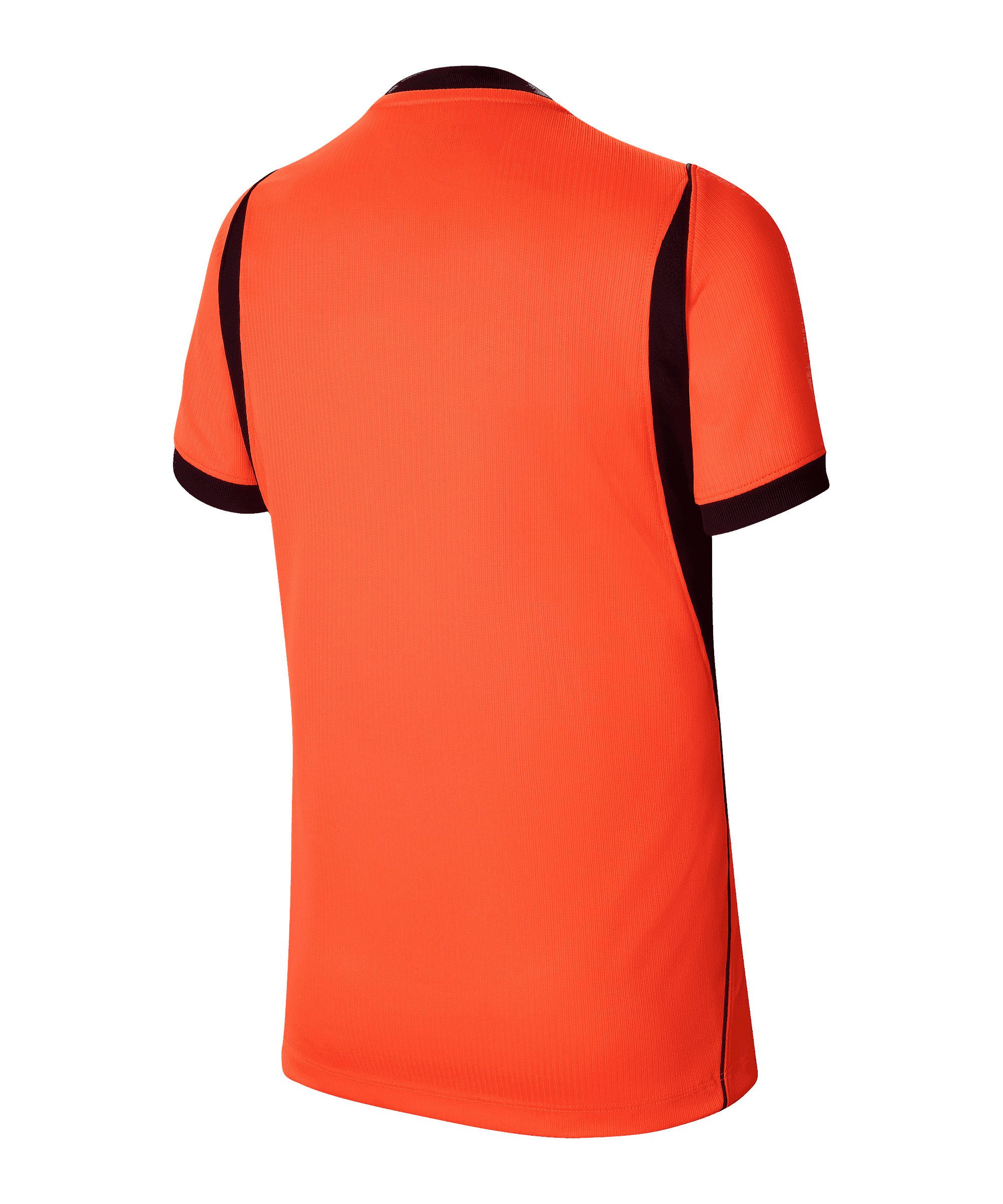 Nike Fußballtrikot Nike Performance Weltmeisterschaft
