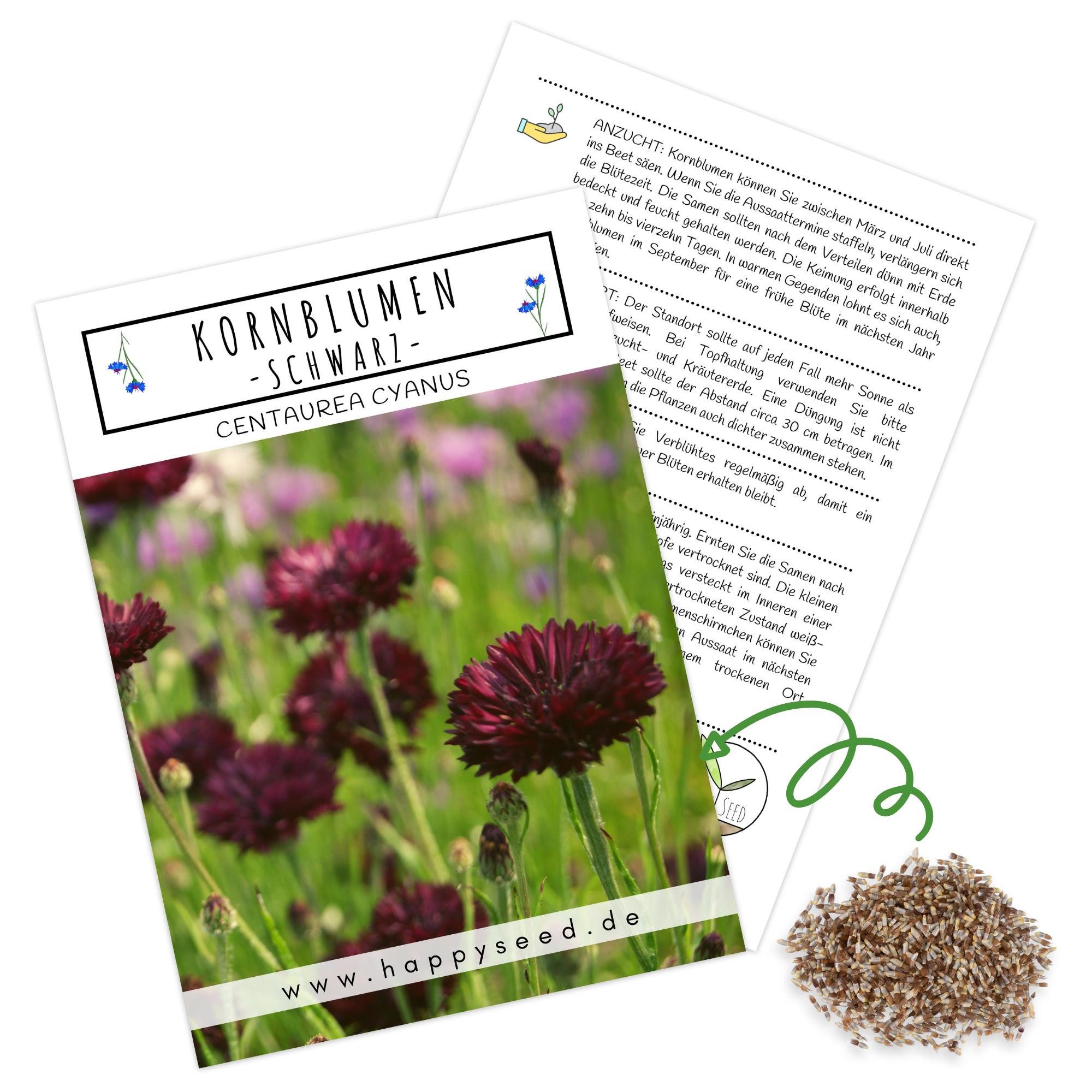 HappySeed Blumensamen Kornblumen Samen (Centaurea cyanus) - Schwarz, 1000 Korn, 80 cm, Kornblumen