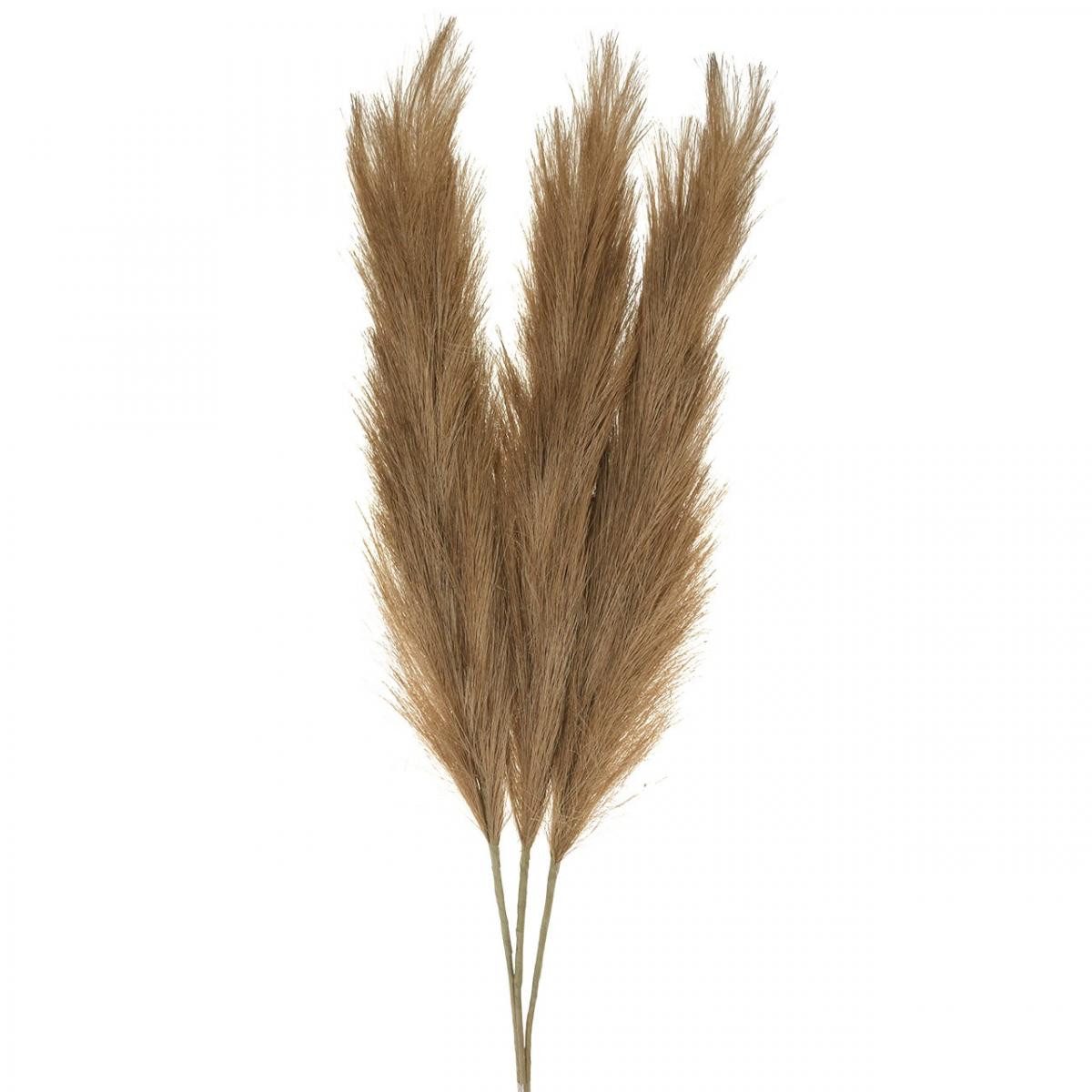 Künstliche Zimmerpflanze Kunstgras Federgras Braun Naturdeko günstig online kaufen