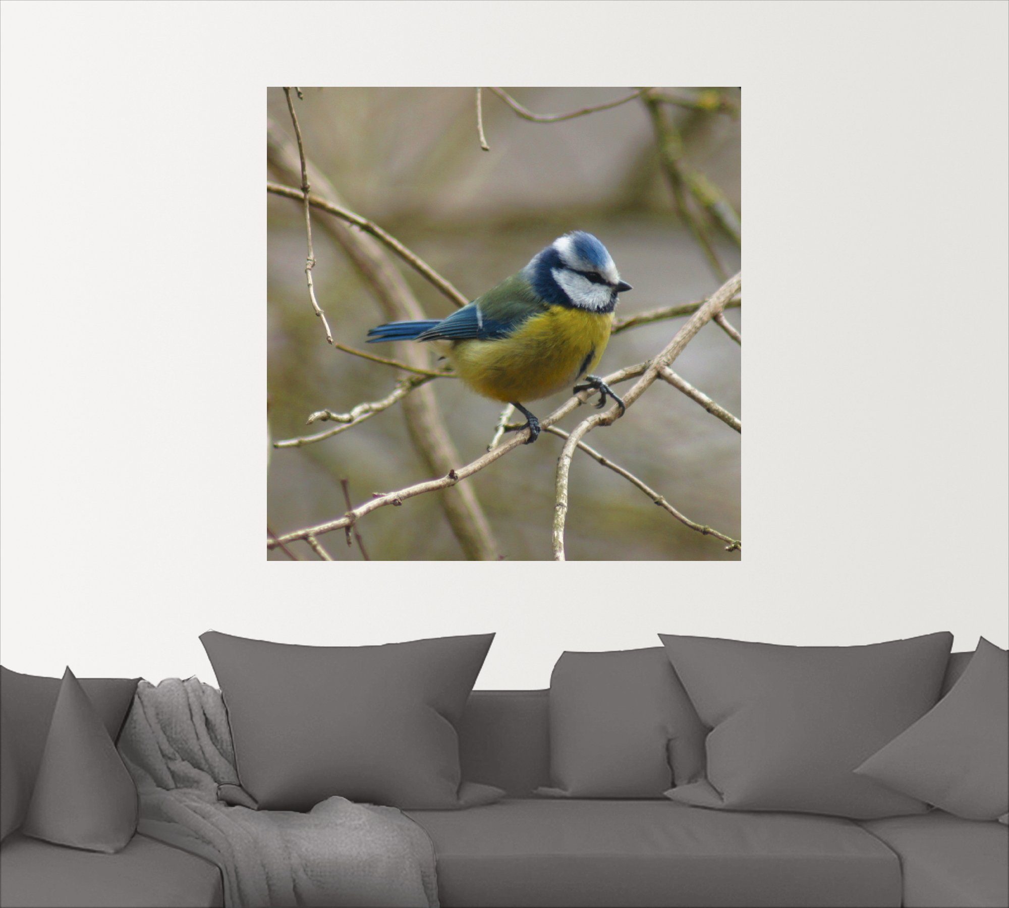 Artland Leinwandbild, als oder Poster versch. Wandaufkleber Vögel Blaumeise, in (1 Wandbild St), Größen
