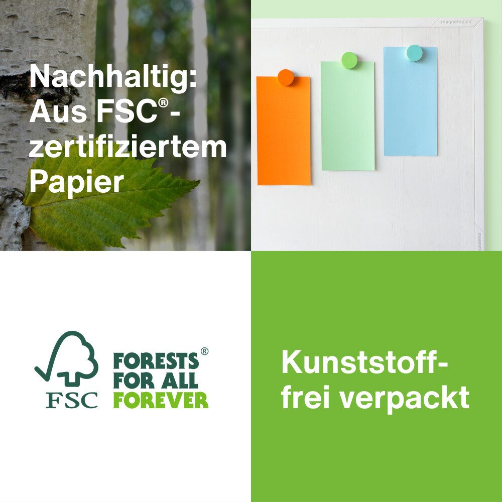 HOLT Moderationskoffer Kommunikationskarten sortiert 200x100mm 250St