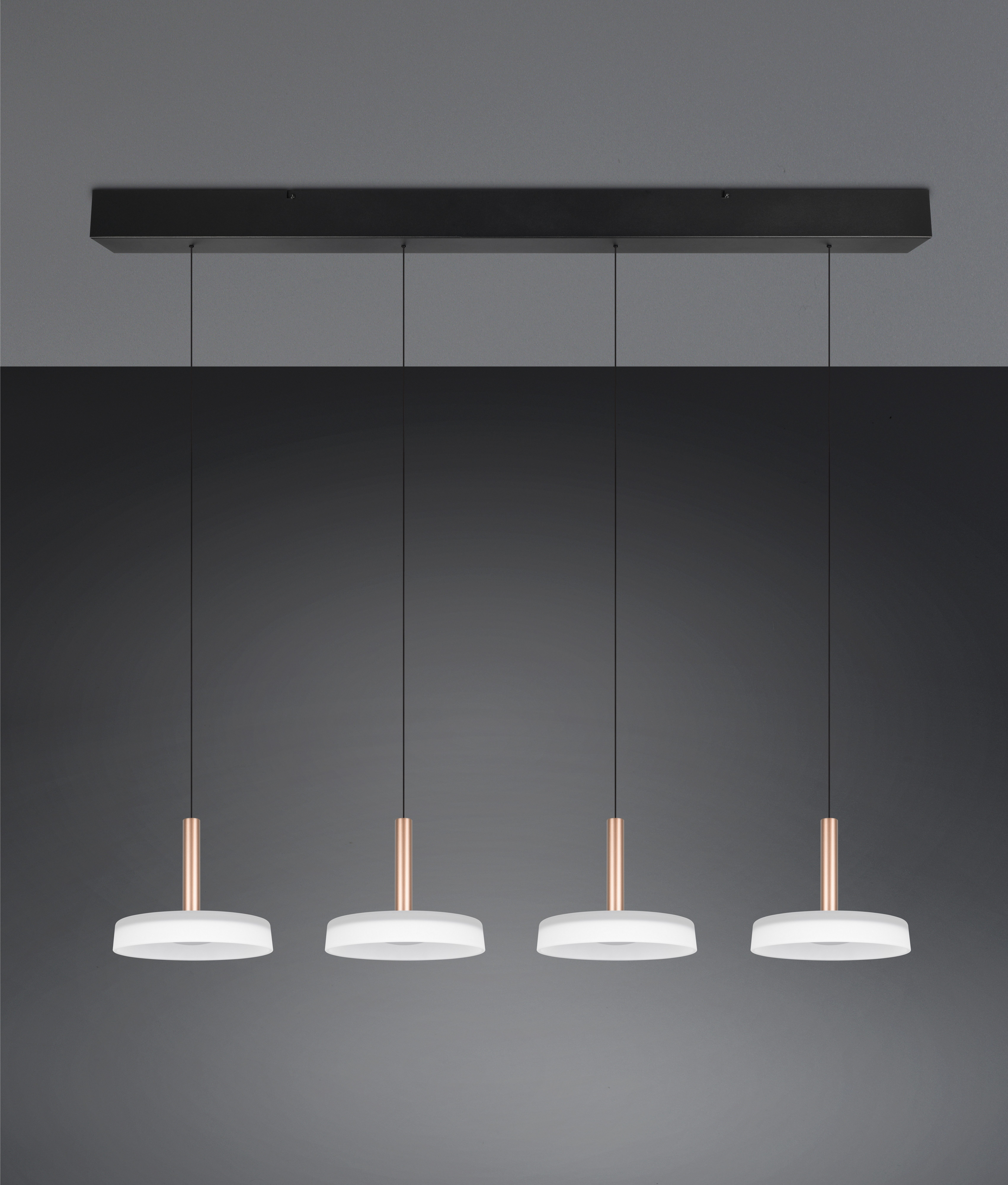 TRIO Leuchten LED Pendelleuchte CELESTE dimmbare günstig online kaufen