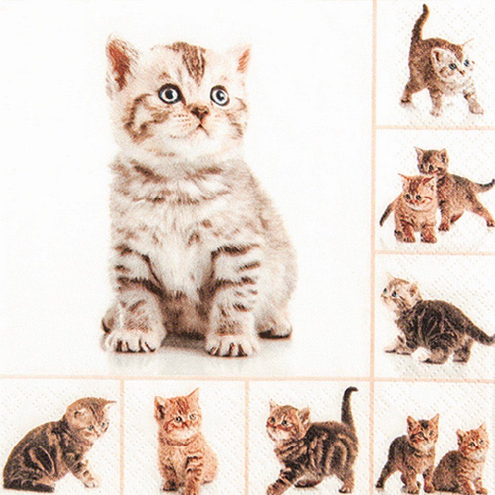 HOME FASHION Papierserviette 20 Servietten Meow - Verspielte Katzen 33x33cm, (20 St)