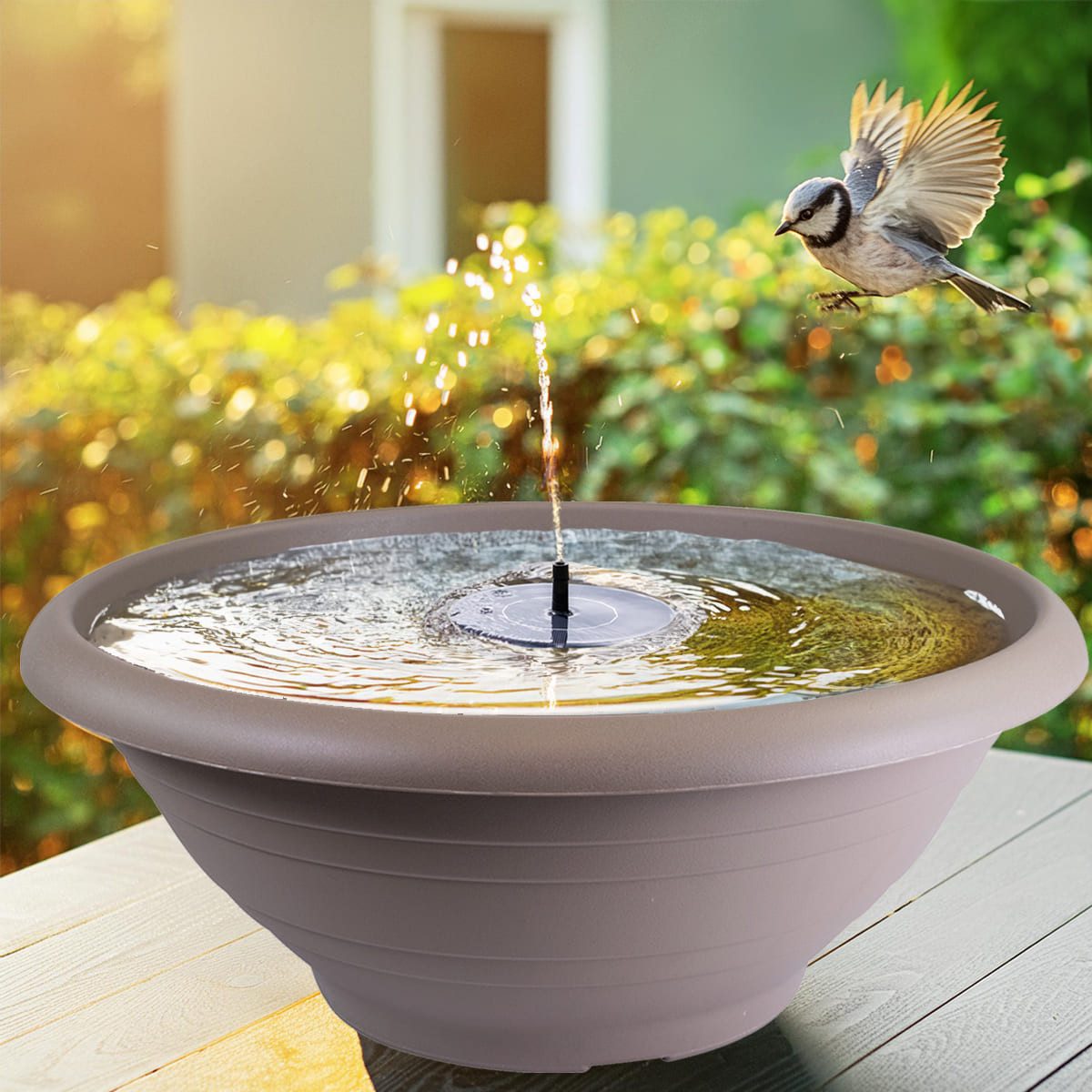 matches21 HOME & HOBBY Wasserspiel XL Solar-Brunnen Set für draußen - große 55 cm Schale taupe, (1 tlg), Wasser-Fontäne als Solar Spring-Brunnen Garten-Deko Vogeltränke