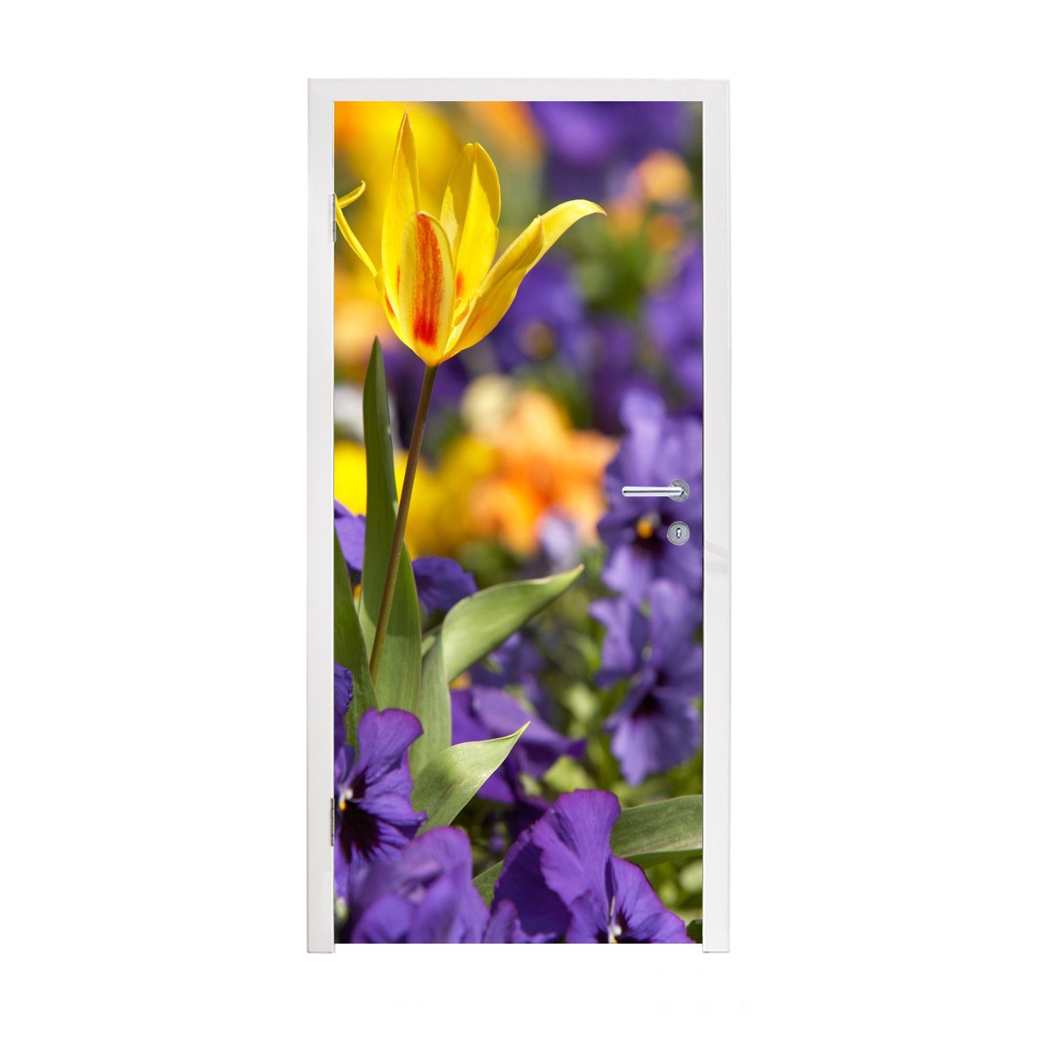 MuchoWow Türtapete Frühling - Blumen - Farben, Matt, bedruckt, (1 St), Fototapete für Tür, Türaufkleber, 75x205 cm