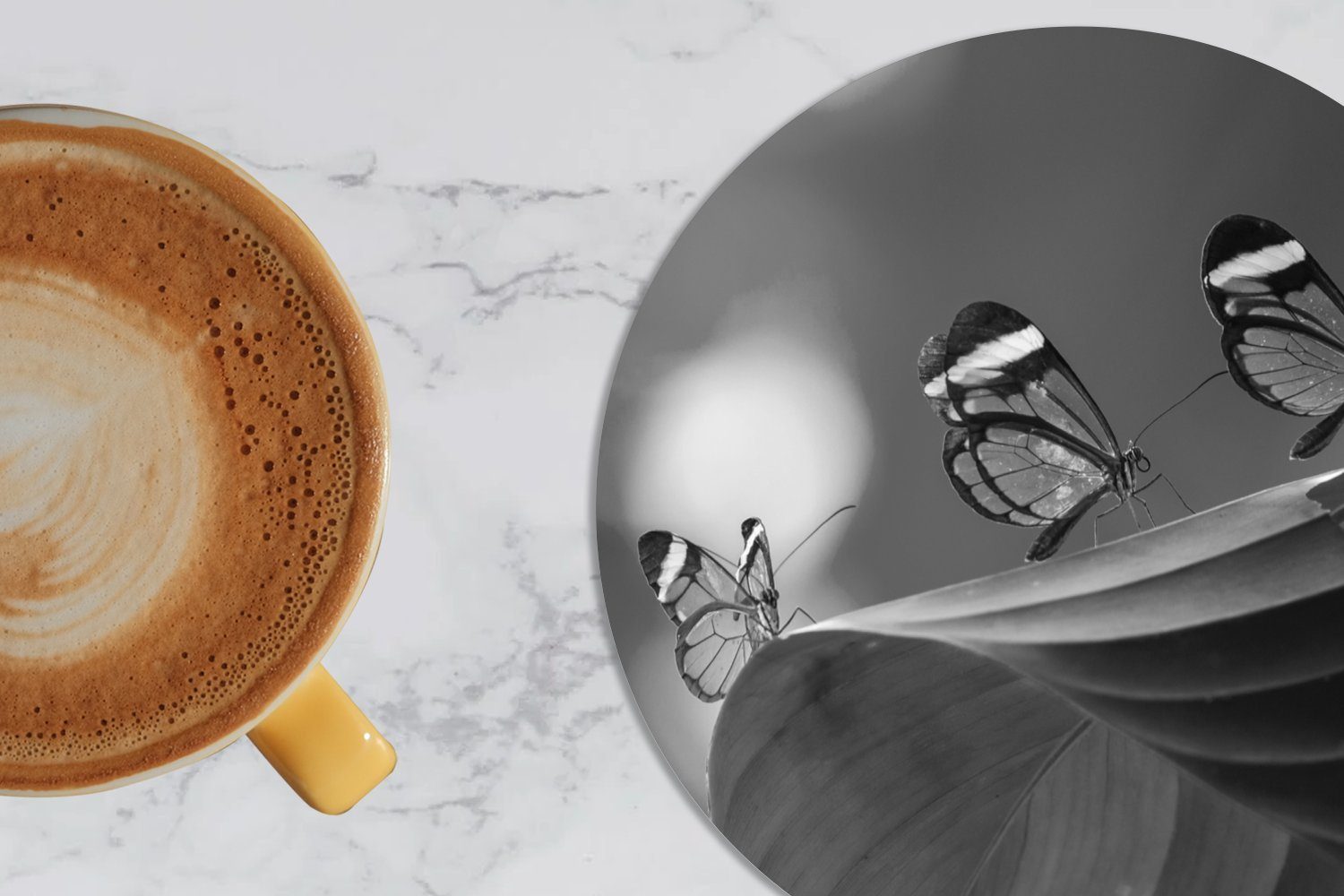 MuchoWow Glasuntersetzer Transparenter Schmetterling auf Rica Zubehör in Korkuntersetzer, für 6-tlg., Tassenuntersetzer, einem Tasse, Gläser, Costa in Becher Getränkeuntersetzer, schwarz, Blatt