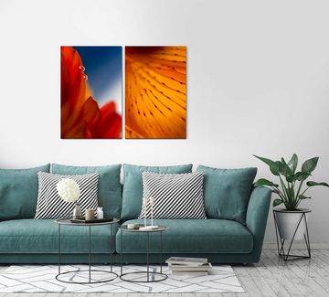 Sinus Art Leinwandbild 2 Bilder je 60x90cm Blüten rote Blume Wassertropfen Orange Warm Sommer Makrofotografie