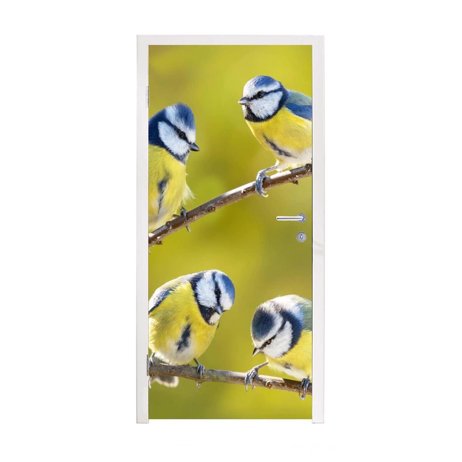 MuchoWow Türtapete Vogel Matt, cm bedruckt, - St), Fototapete Äste 75x205 - Tür, - Türaufkleber, Sonne, (1 Blaumeise für