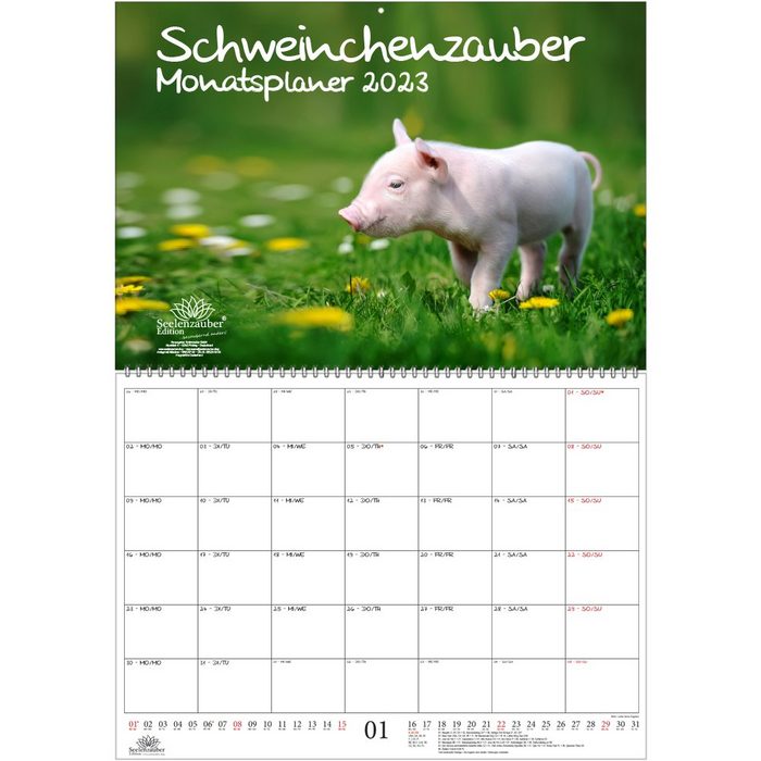 Seelenzauber Wandkalender Schweinchenzauber Planer DIN A2 aufgeklappt - Kalender für 2023 Schwei