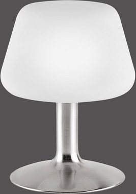 Paul Neuhaus LED Tischleuchte Till, Dimmfunktion, LED wechselbar, Warmweiß, 3-Stufen Touchdimmer