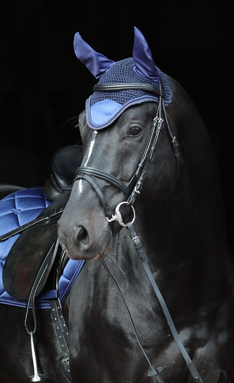 Kerbl Fliegenhaube Kerbl Fliegenhaube Empara navy Cob/Full