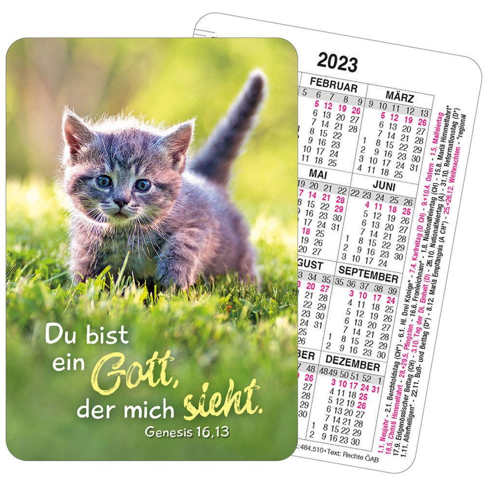 Terminkalender Spielkarten-Kalender 2023 - Katze