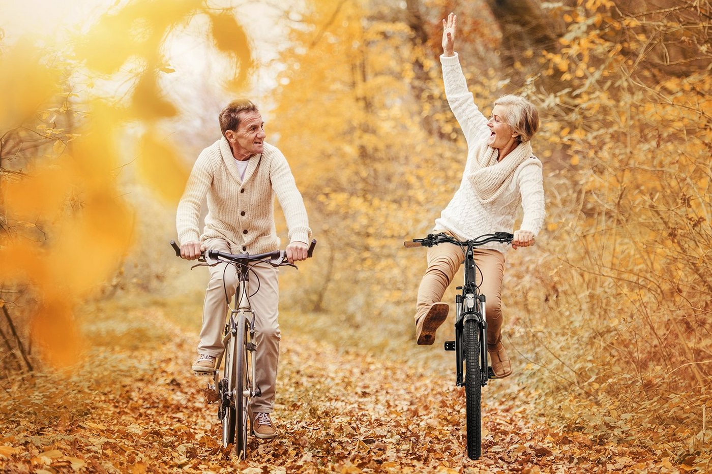 Thumbnail - SachsenRad E-Bike E-CityBike E-SUV CityBike C5 Centro mit Diebstahlsicherung, 7 Gang Shimano, Kettenschaltung, 470 Wh, T...