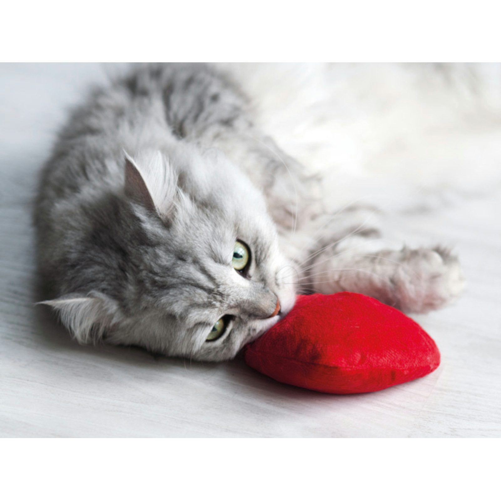 Aumüller Tierkuscheltier Katzenspielkissen Baldi-Herz aus rotem günstig online kaufen
