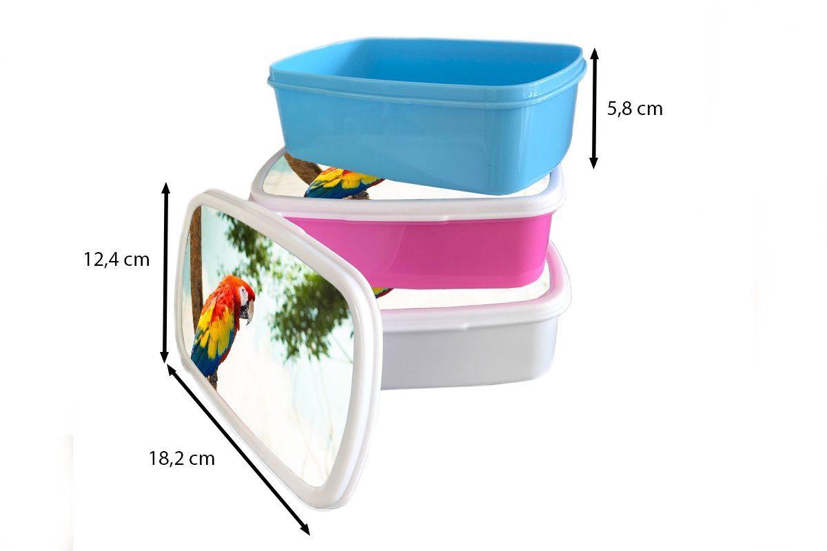 MuchoWow Lunchbox - (2-tlg), Vogel Kunststoff, Papagei Tropisch, - Kinder, rosa Mädchen, Brotdose Brotbox Regenbogen Snackbox, - Kunststoff Erwachsene, für