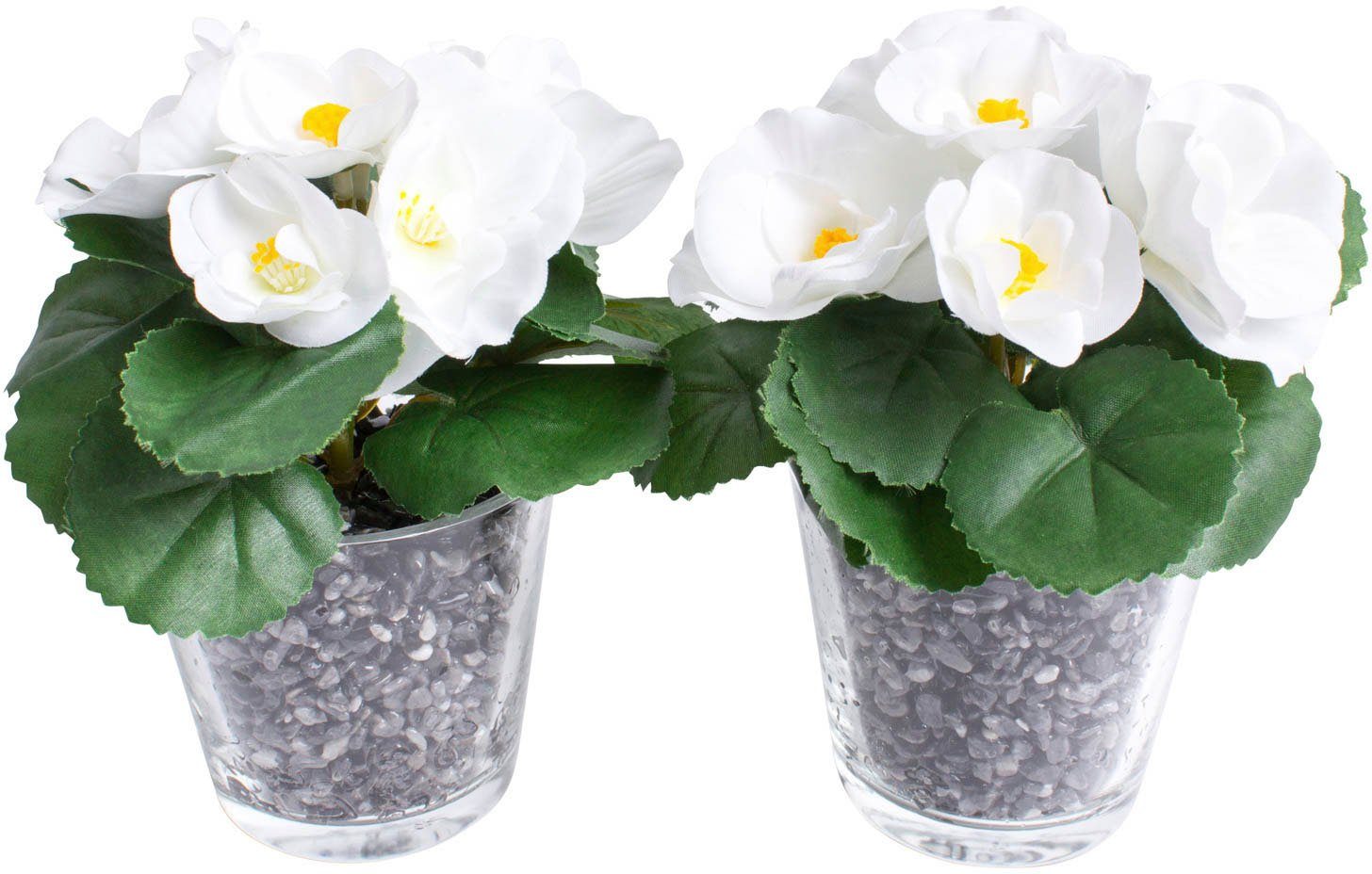 Kunstblume Frühlingsblume Begonie, Botanic-Haus, Höhe 14 cm