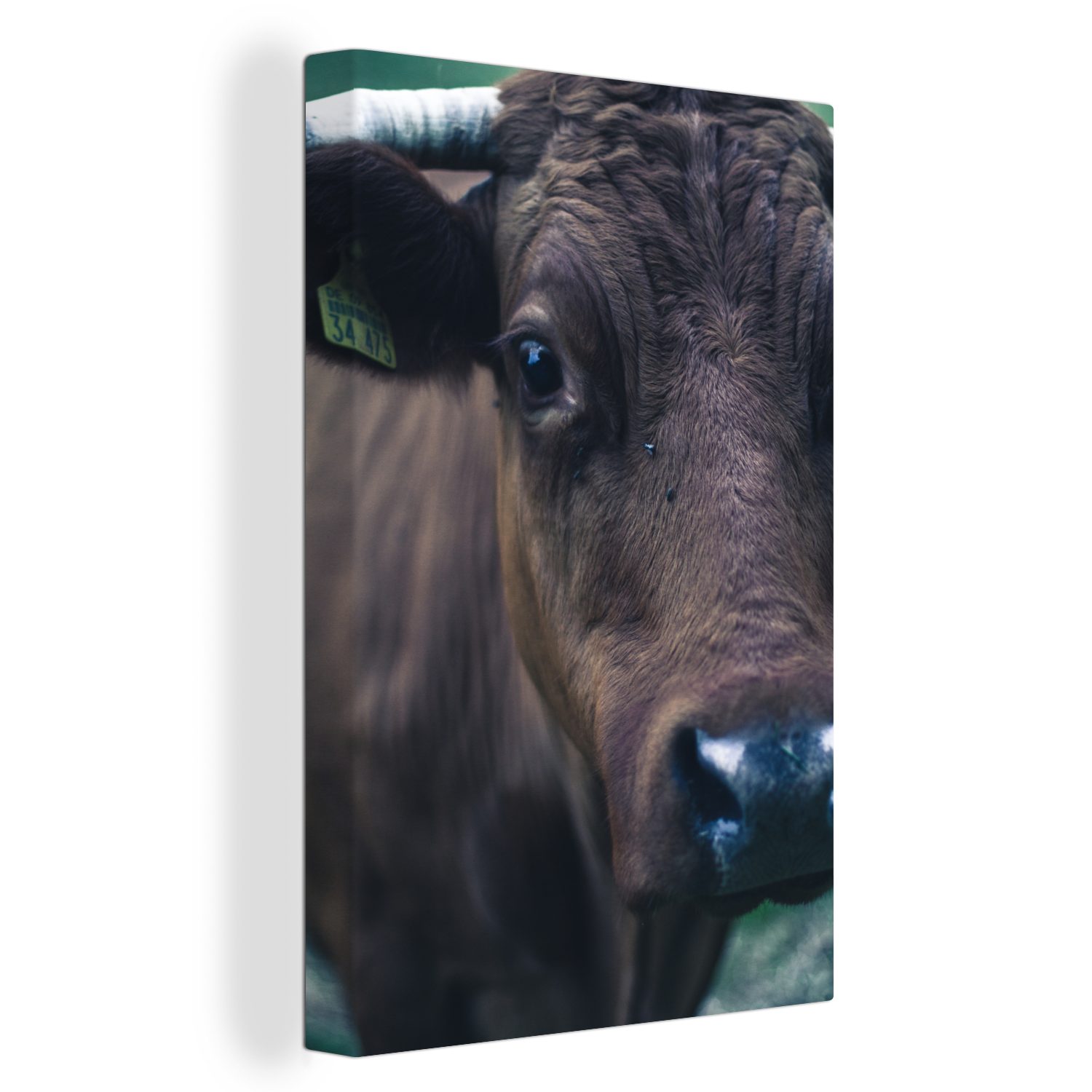 OneMillionCanvasses® Leinwandbild Tiere - Kuh - Auge, (1 St), Leinwandbild fertig bespannt inkl. Zackenaufhänger, Gemälde, 20x30 cm