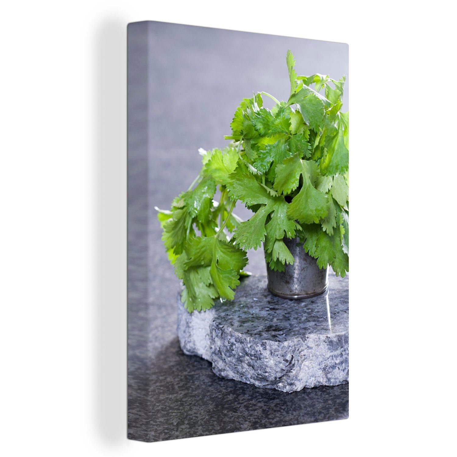 OneMillionCanvasses® Leinwandbild Korianderpflanze in einem Metalltopf auf einer Marmorplatte, (1 St), Leinwandbild fertig bespannt inkl. Zackenaufhänger, Gemälde, 20x30 cm