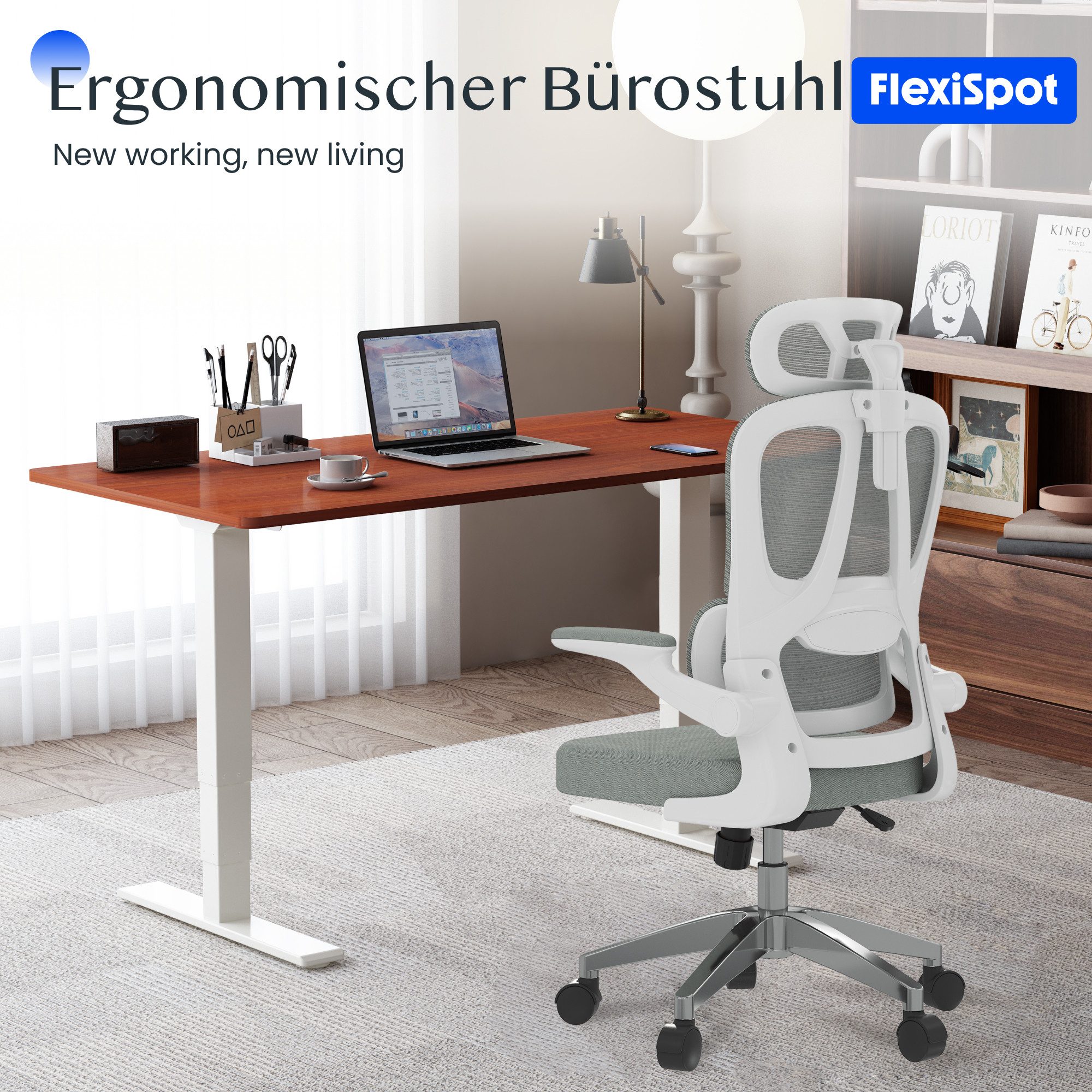 FLEXISPOT Bürostuhl Ergonomischer Schreibtischstuhl (mit 2D-Kopfstütze, günstig online kaufen