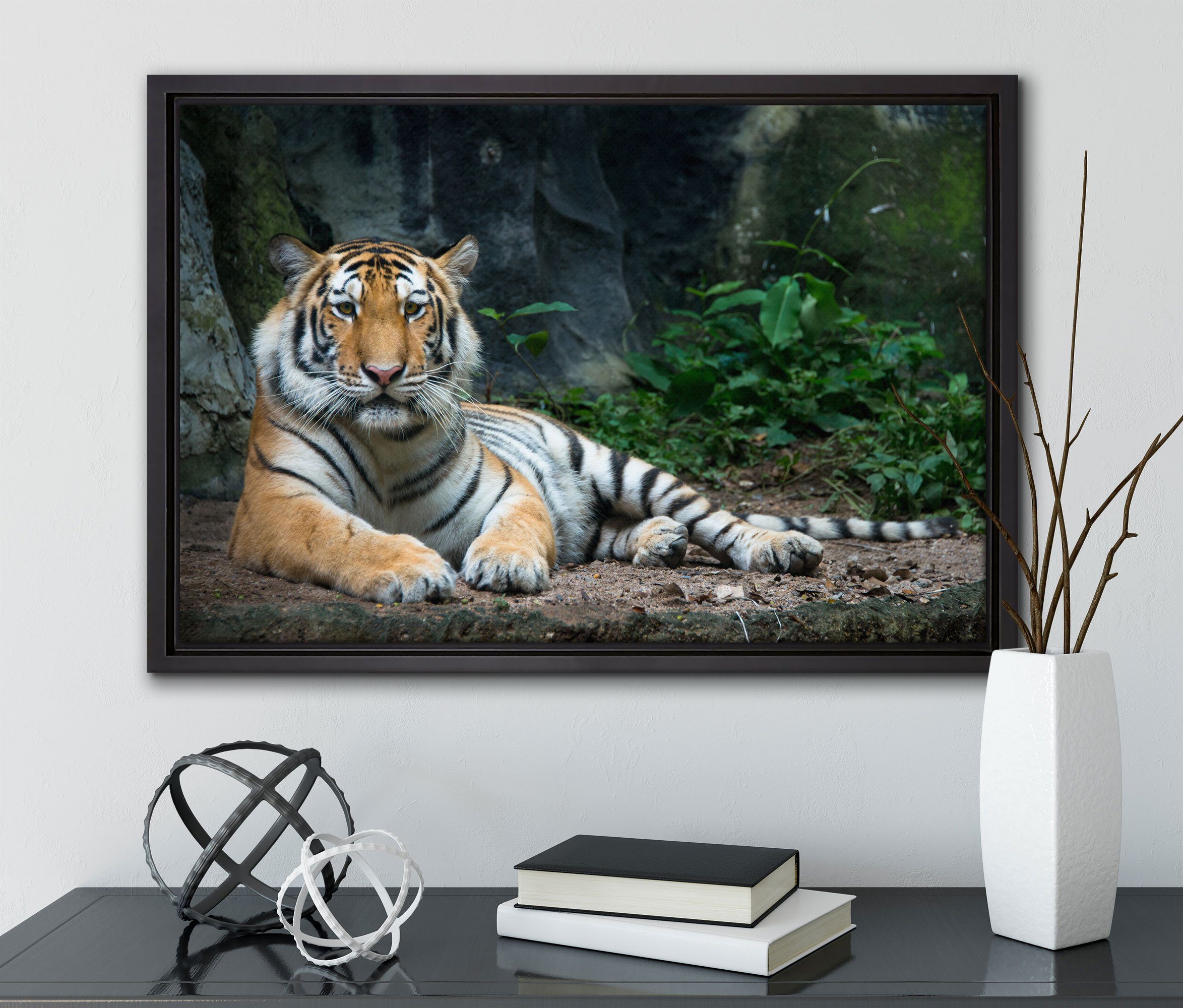 Leinwandbild Zackenaufhänger Tiger, Wanddekoration gefasst, Schattenfugen-Bilderrahmen Pixxprint fertig inkl. in einem Leinwandbild (1 Liegender St), bespannt,