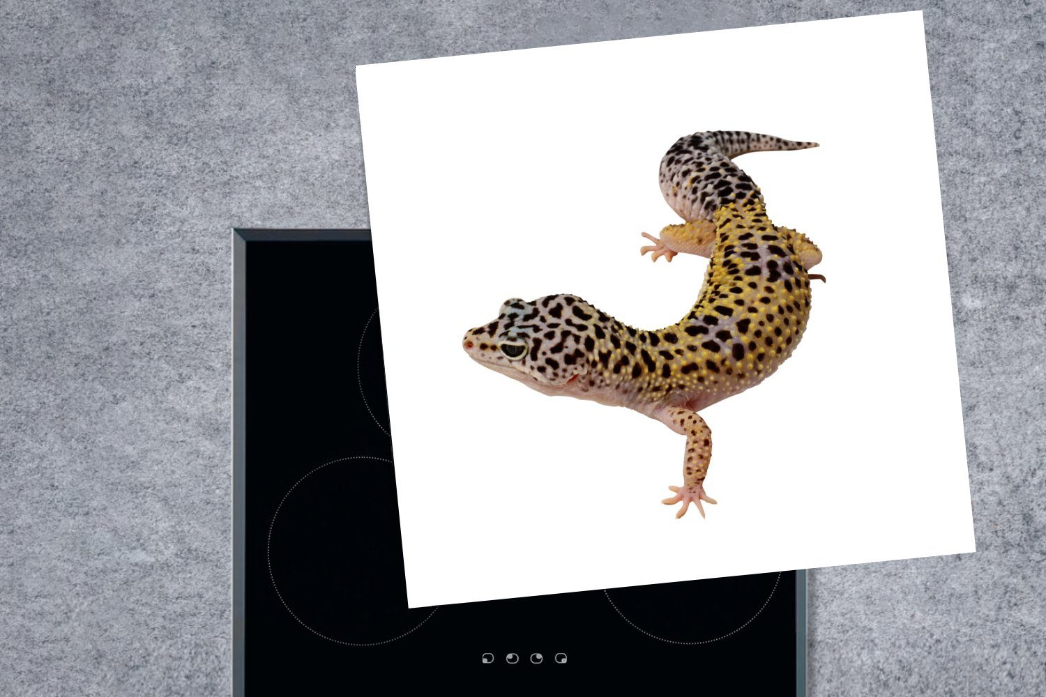 MuchoWow Herdblende-/Abdeckplatte Gecko auf weißem cm, Ceranfeldabdeckung, für Arbeitsplatte 78x78 tlg), Vinyl, küche (1 Hintergrund