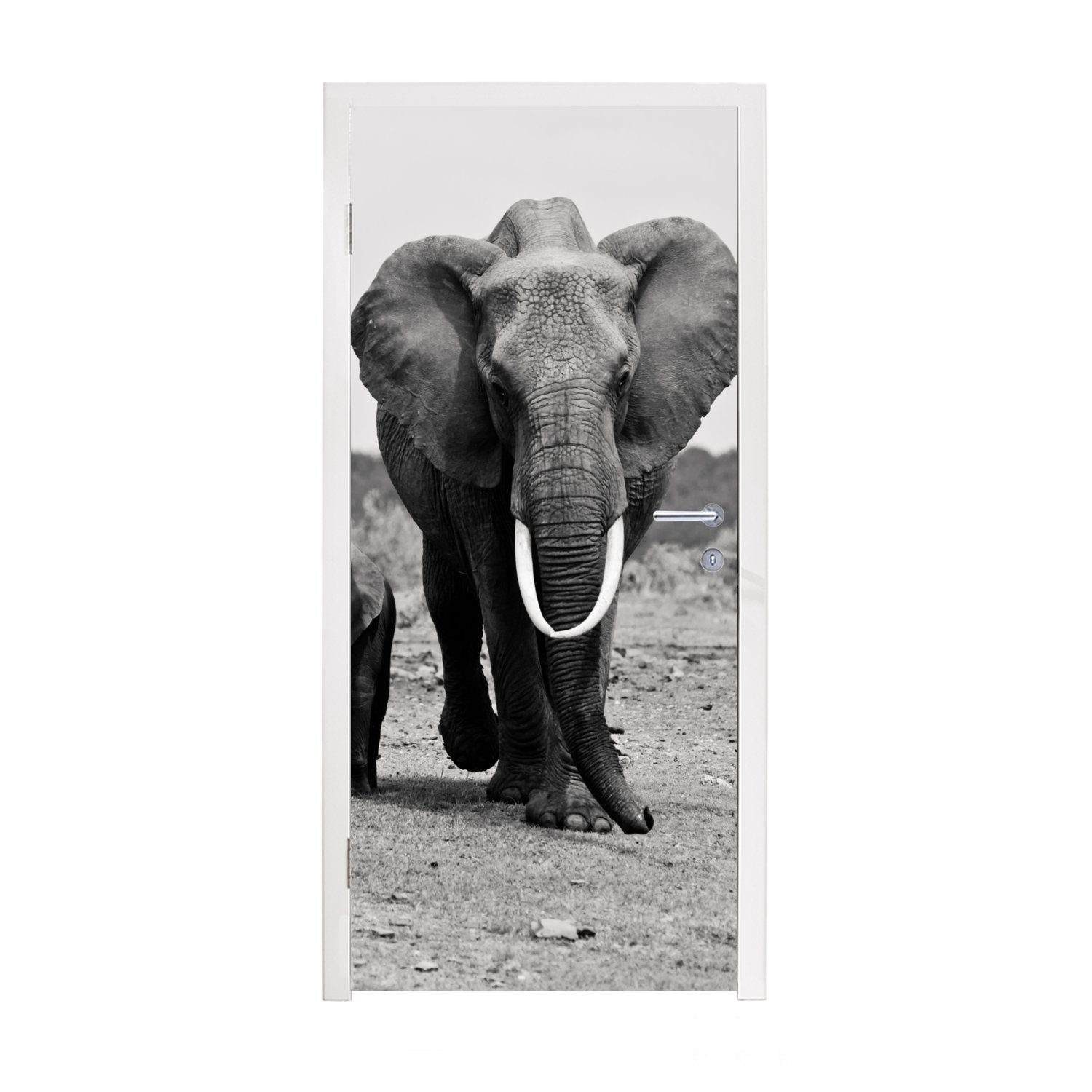 MuchoWow Türtapete Elefant - Kind - Schwarz - Weiß, Matt, bedruckt, (1 St), Fototapete für Tür, Türaufkleber, 75x205 cm | Türtapeten