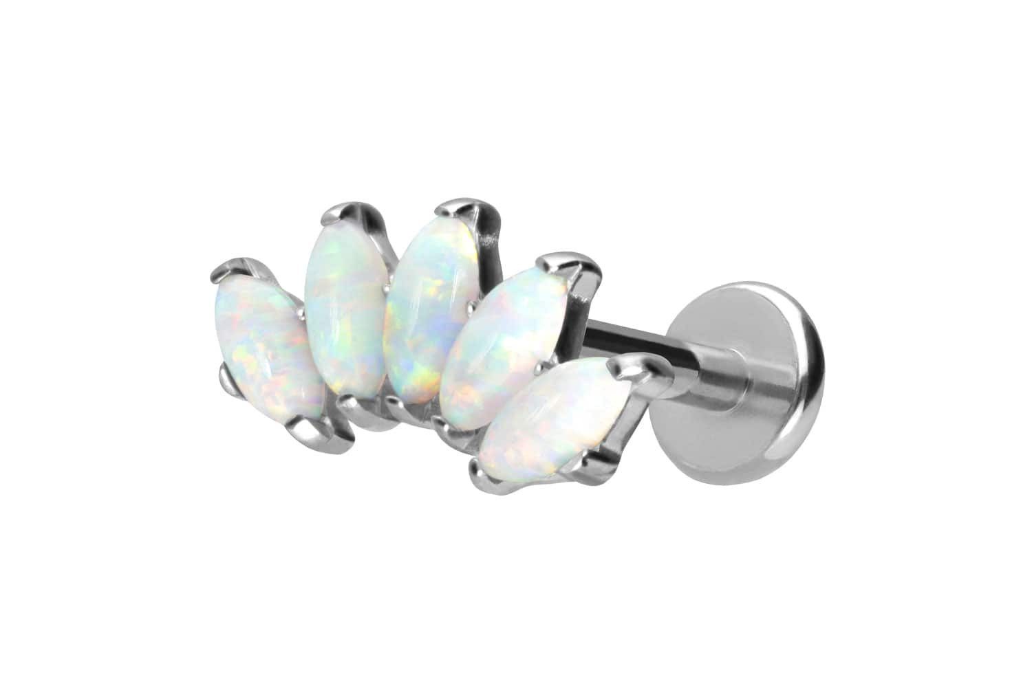 PIERCINGLINE Piercing-Set Titan Labret mit Push günstig online kaufen