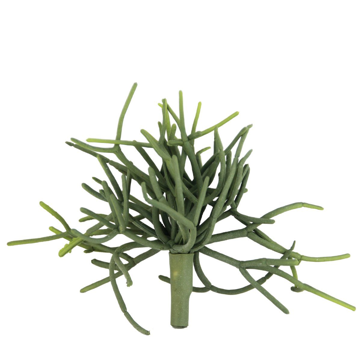 Kunstzweig, SB Zentralmarkt