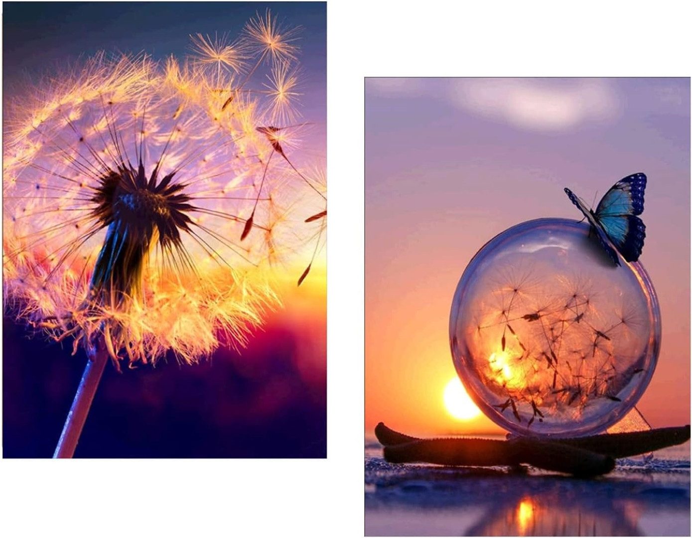 LA CUTE Раскрась по номерам Pusteblume Schmetterling - 5D Diamond Painting Set 30x40cm (5d Diamond Painting-Set, Bild, Diamanten, Stift und Container), Entspannendes Hobby, kreative Stunden, schimmerndes Endergebnis.