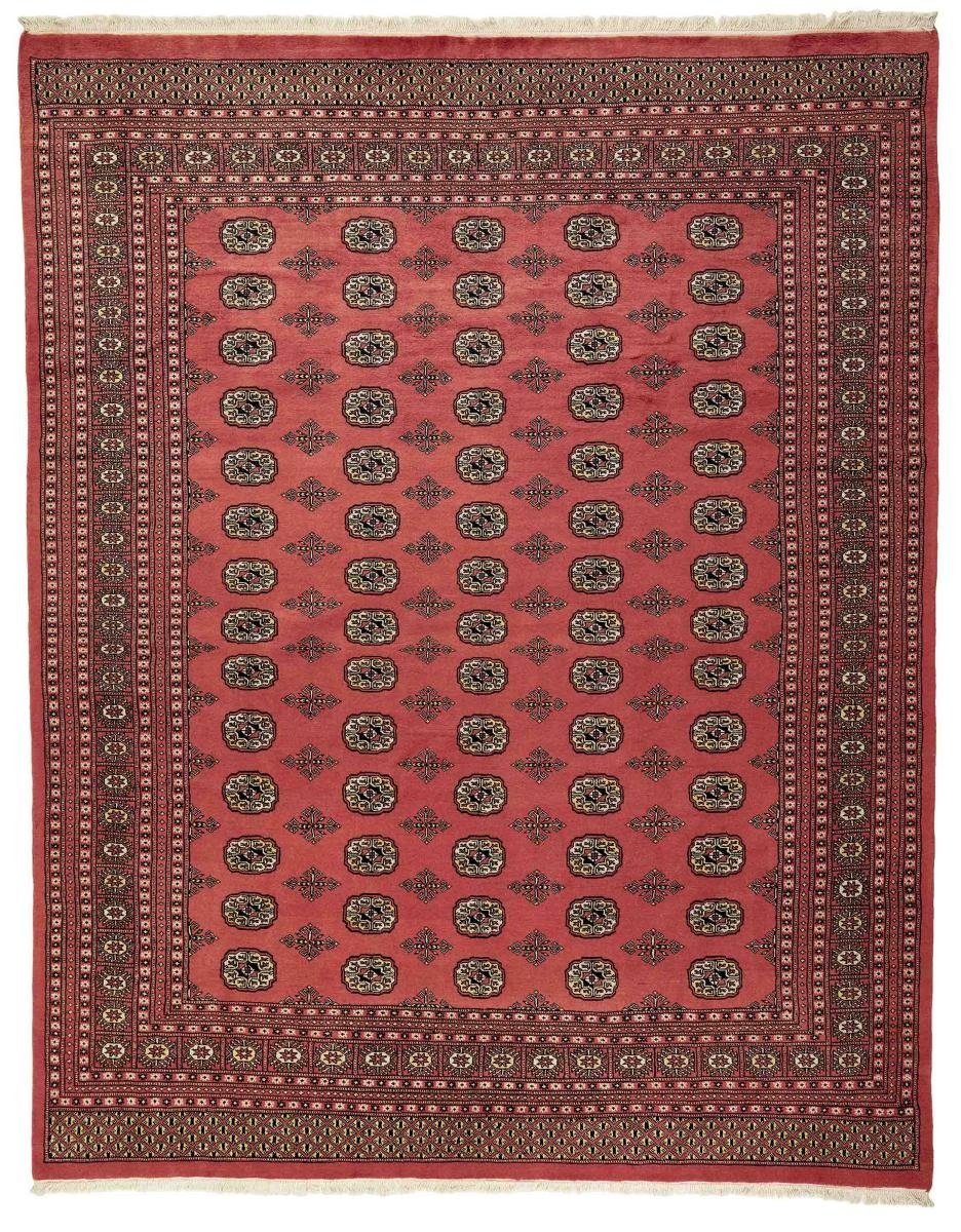 Orientteppich Pakistan Buchara 2ply 245x306 Orientteppich, Nain mm Handgeknüpfter Höhe: rechteckig, Trading, 8