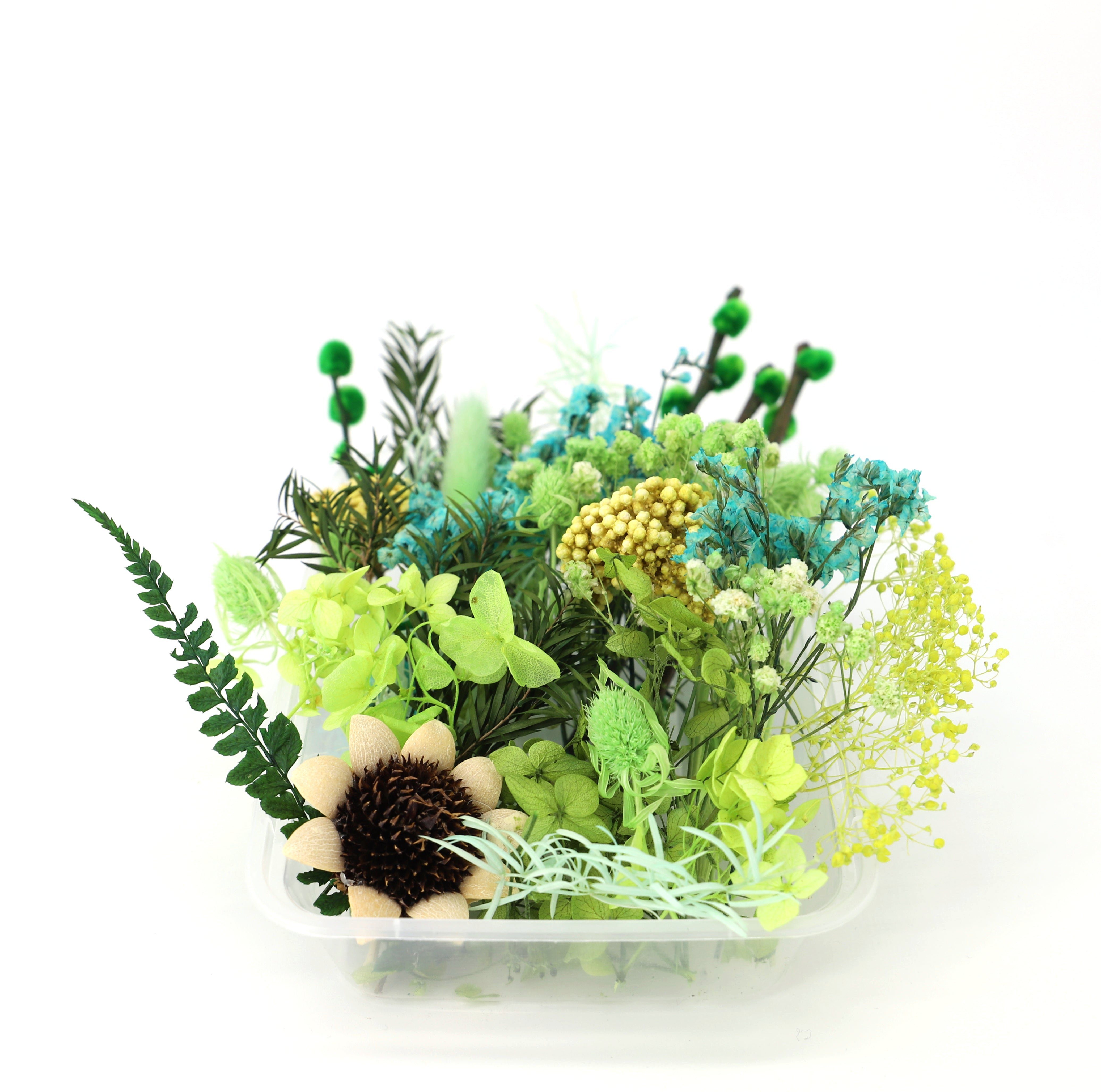 Trockenblume Farblich sortierte getrockneten - Blumen mit Box Gelb/Grün, Kunstharz.Art