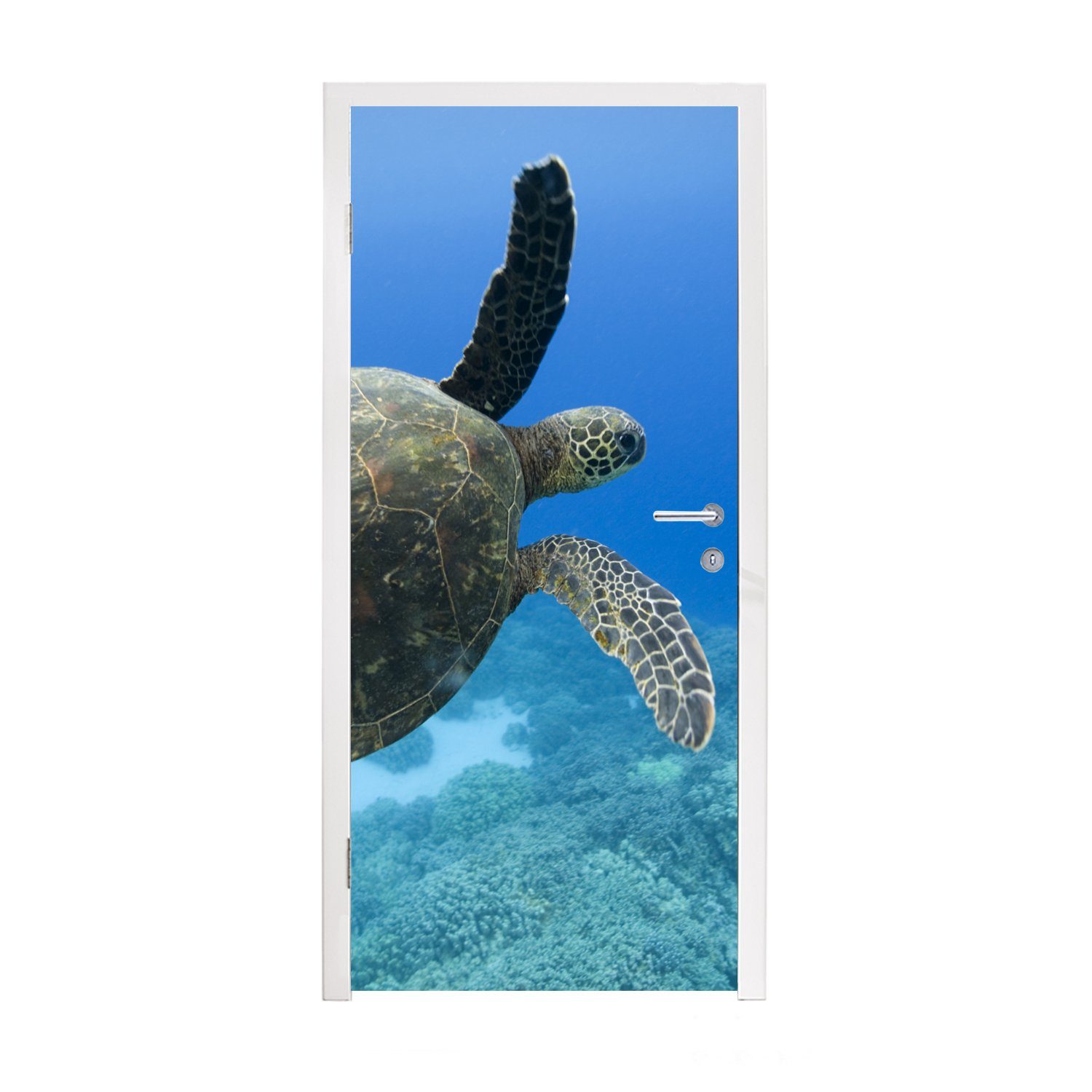 MuchoWow Türtapete Grüne schwimmende Schildkröte Fotodruck, Matt, bedruckt, (1 St), Fototapete für Tür, Türaufkleber, 75x205 cm