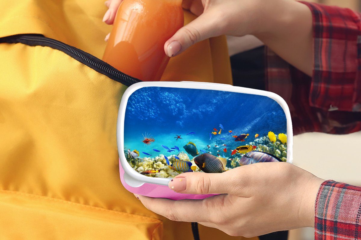 MuchoWow Lunchbox Brotbox Snackbox, - (2-tlg), Kunststoff Kinder, Brotdose Korallen rosa - Fische Erwachsene, für - Mädchen, Kunststoff, Unterwasserwelt, Meer