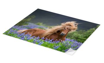 Posterlounge Wandfolie Panoramic Images, Pferd zwischen Lupinen, Mädchenzimmer Fotografie