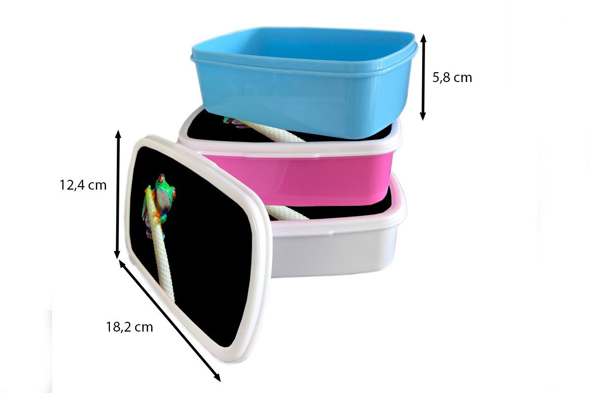 Tier Erwachsene, Brotdose, und - Mädchen und Lunchbox Kinder für Jungs - Kunststoff, (2-tlg), weiß Pflanze, MuchoWow Brotbox für Frosch