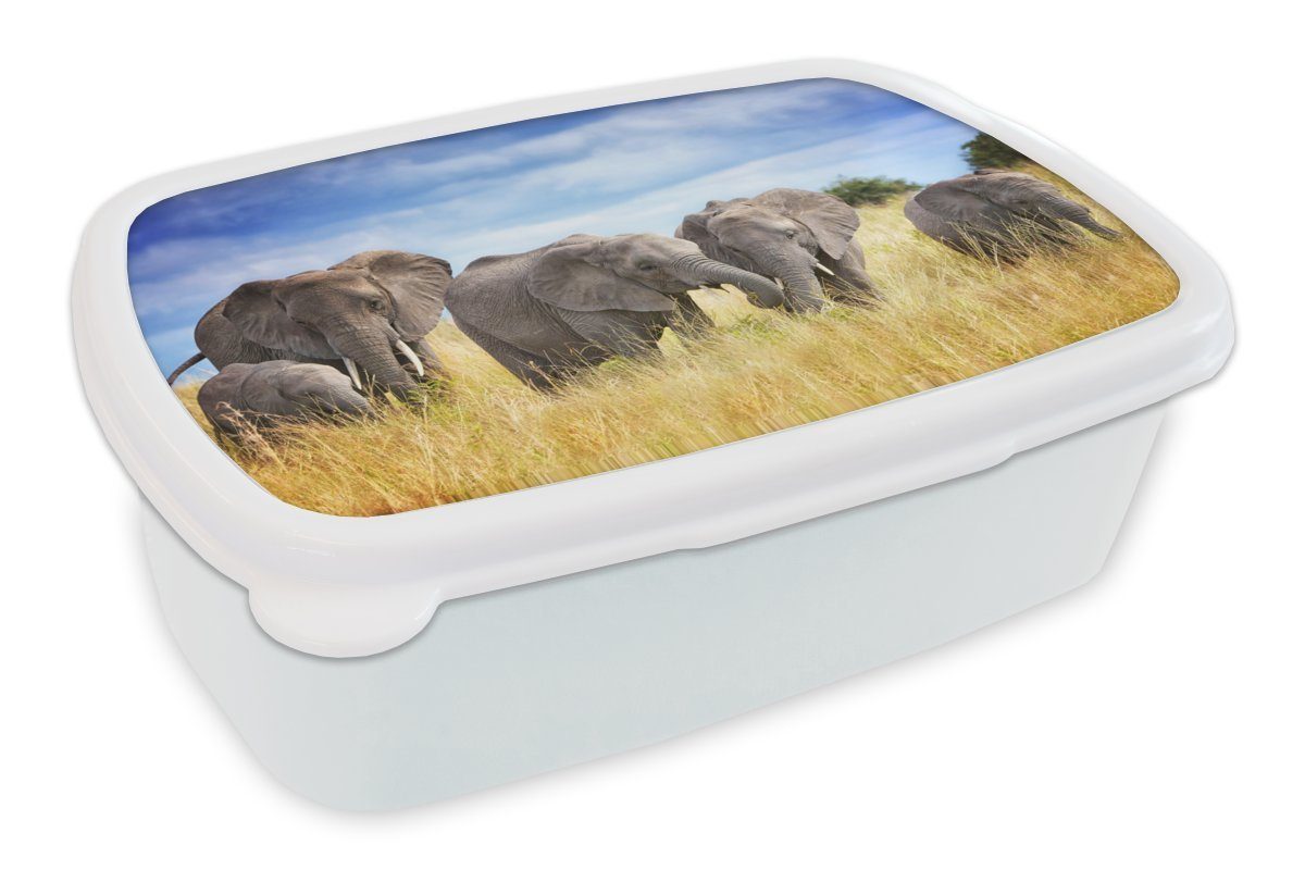 und weiß Kunststoff, - Familie Mädchen Jungs Kinder Brotdose, für (2-tlg), und - Erwachsene, MuchoWow für Brotbox Lunchbox Elefanten Safari,