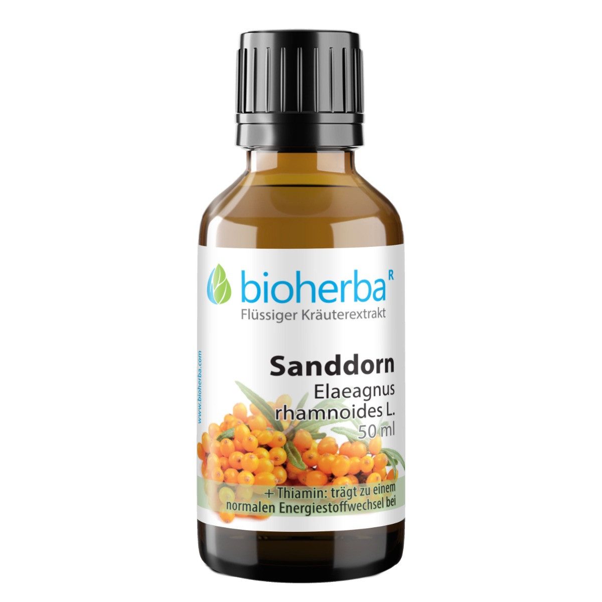 BIOHERBA R Sanddorn Elaeagnus rhamnoides L. Tropfen Tinktur 50 ml Nahrungsergänzungsmittel