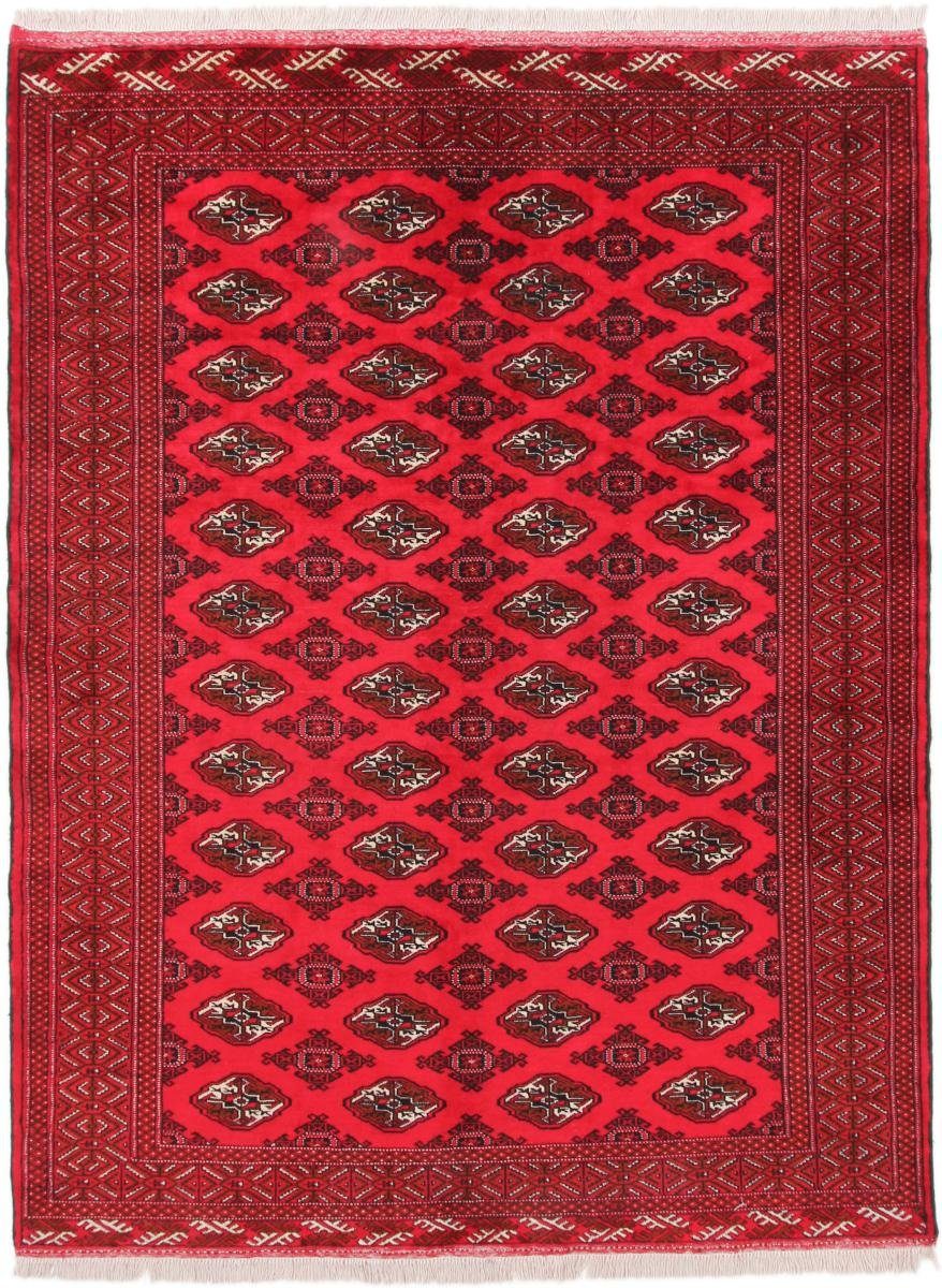 Orientteppich Turkaman 203x268 Handgeknüpfter Orientteppich mm rechteckig, / Nain Perserteppich, Trading, 6 Höhe