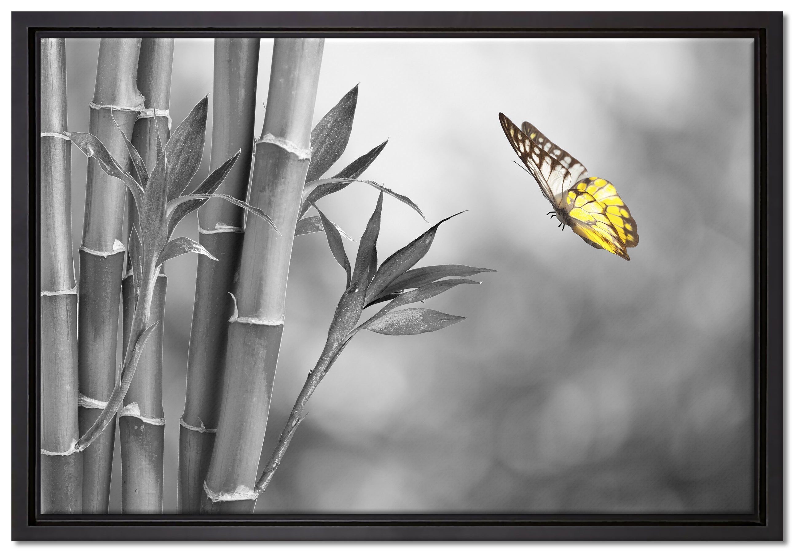 Pixxprint Leinwandbild schöner Schmetterling vor Bambus, Wanddekoration (1 St), Leinwandbild fertig bespannt, in einem Schattenfugen-Bilderrahmen gefasst, inkl. Zackenaufhänger