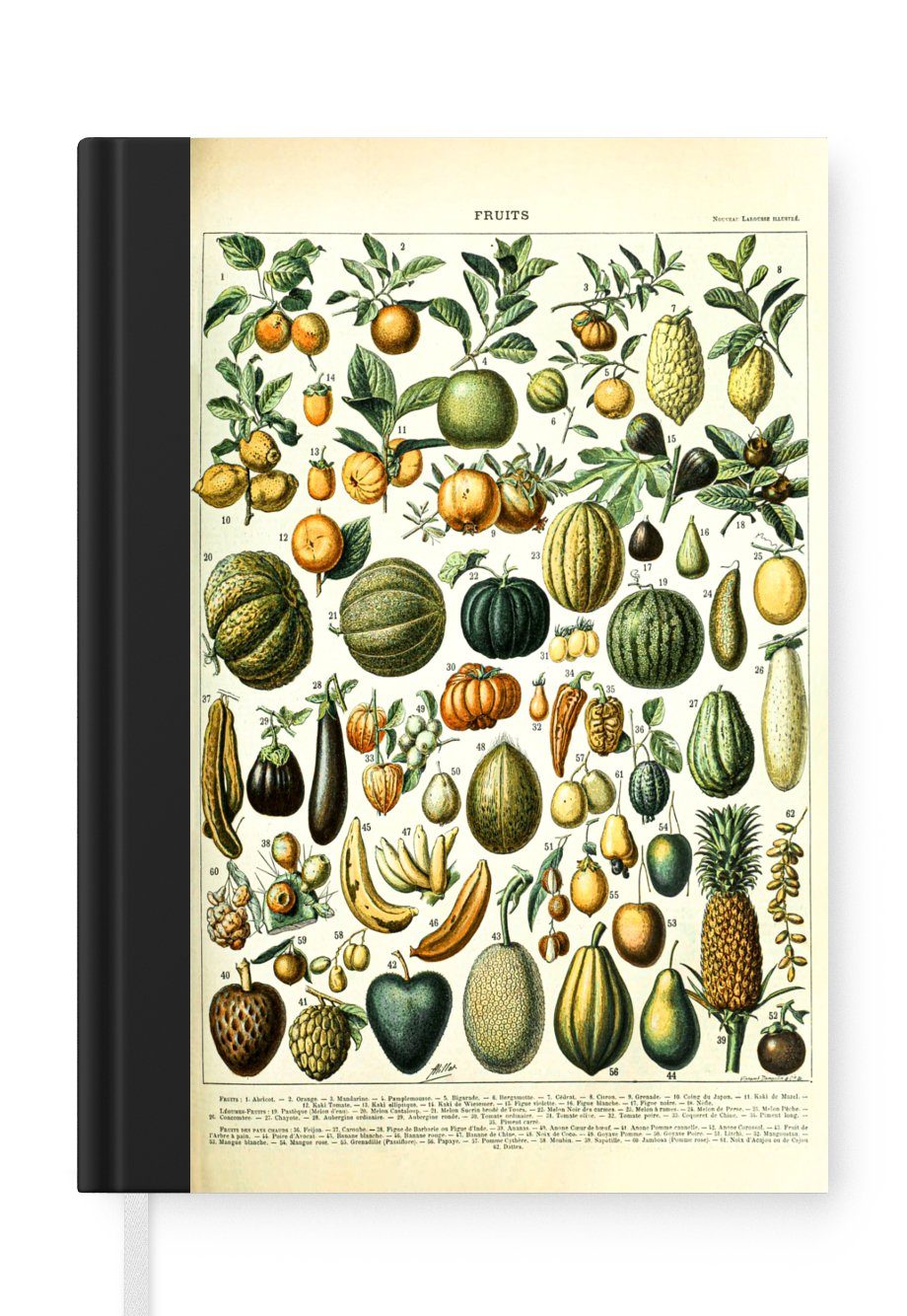 MuchoWow Notizbuch Obst - Lebensmittel - Design - Vintage - Adolphe Millot, Journal, Merkzettel, Tagebuch, Notizheft, A5, 98 Seiten, Haushaltsbuch