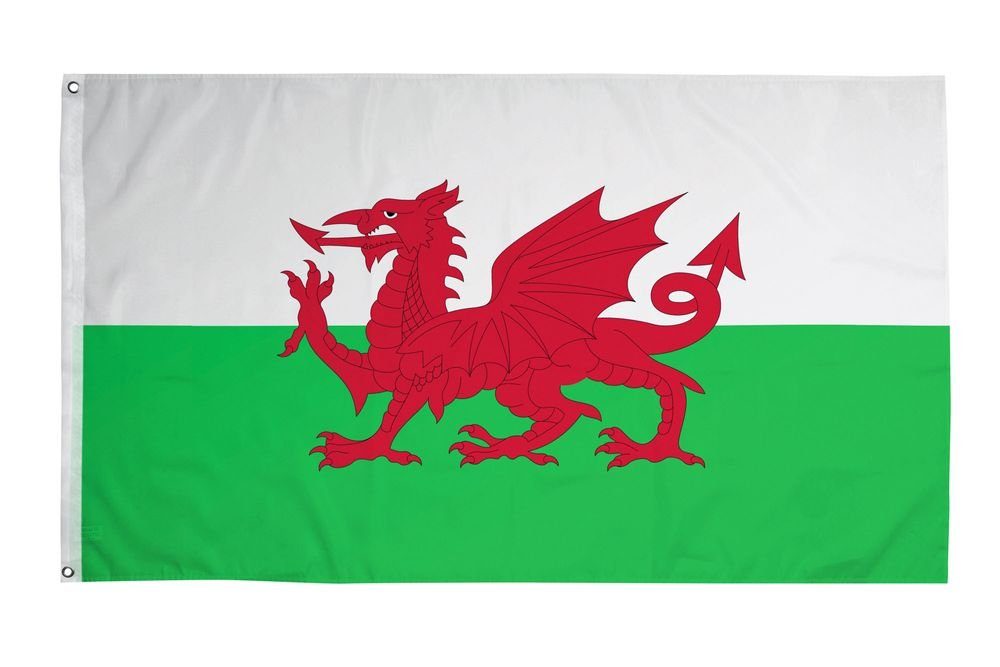 PHENO FLAGS Flagge Wales Flagge 90 x 150 cm Walisische Drache Fahne Wappen (Hissflagge für Fahnenmast), Inkl. 2 Messing Ösen